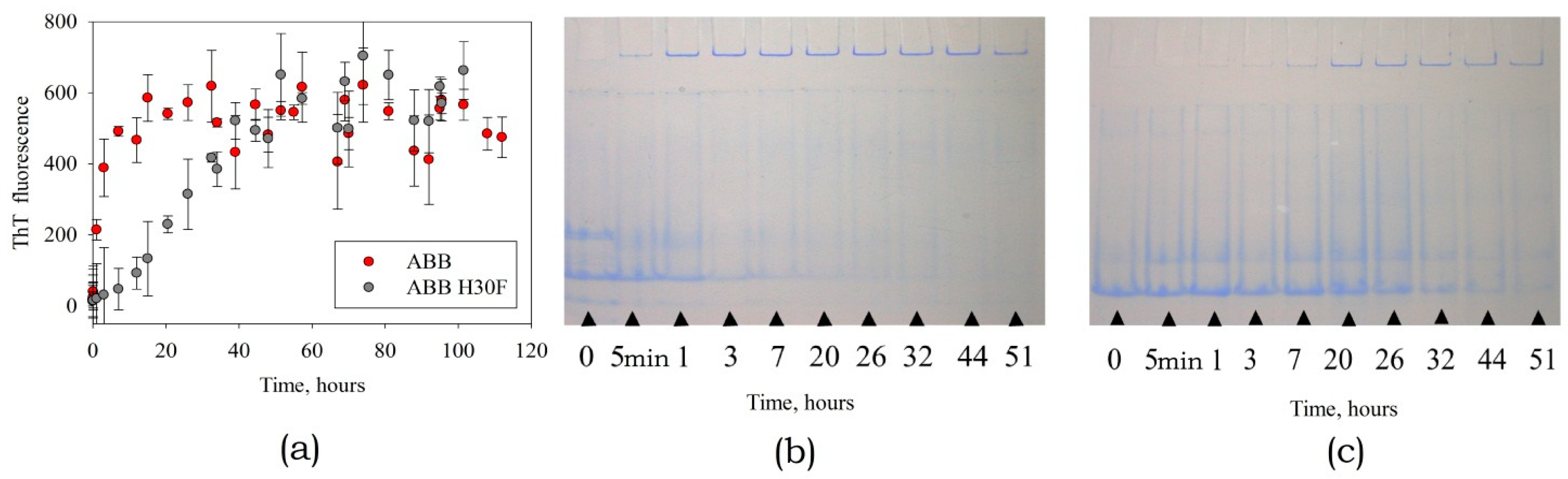Biomolecules 10 00241 g008 Biomolecules 10 00241 g008