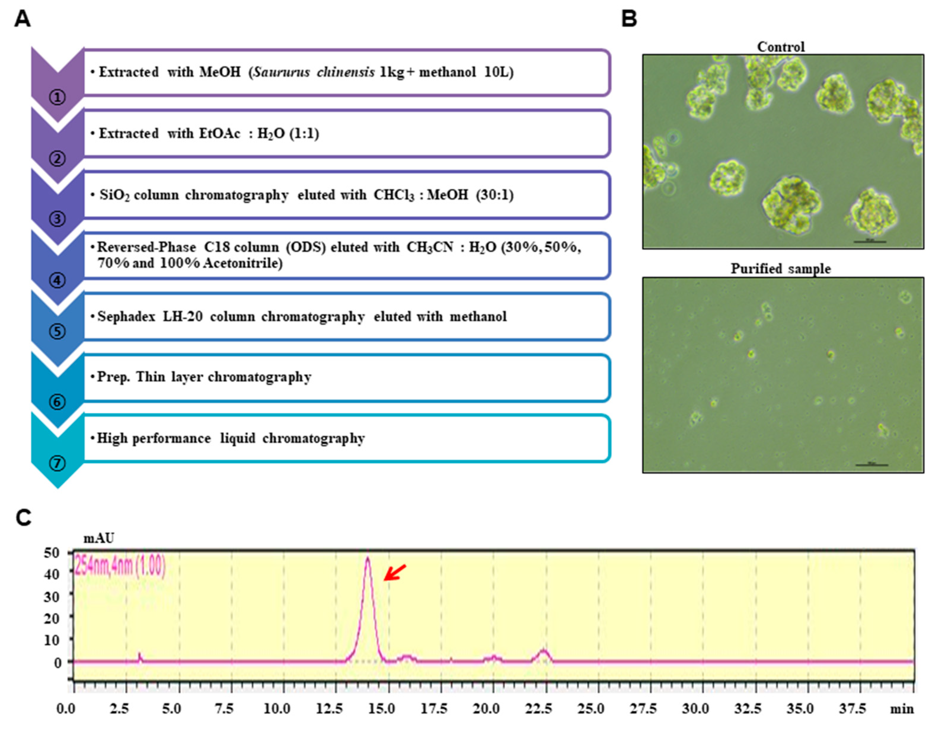 Biomolecules 10 00245 g001 Biomolecules 10 00245 g001