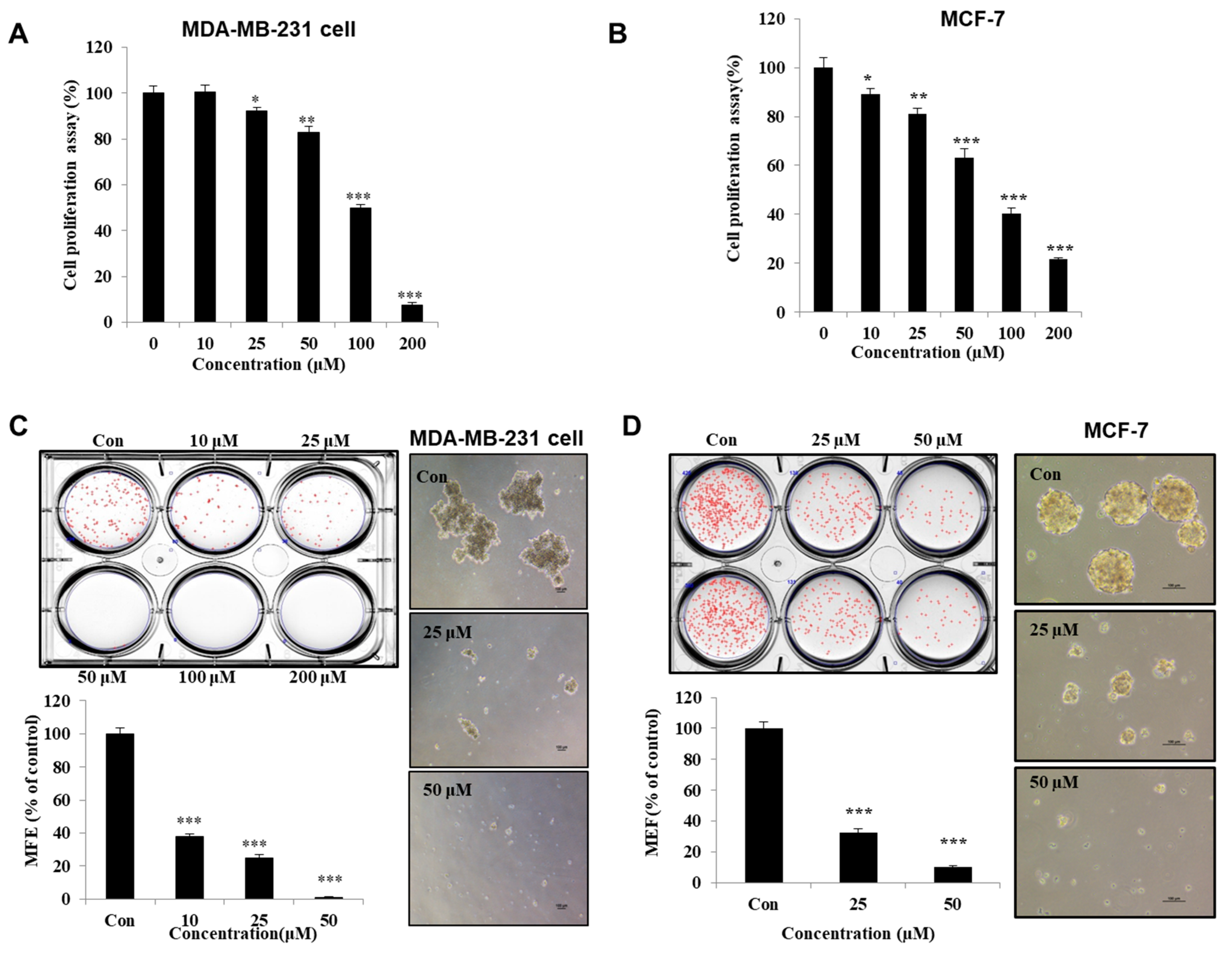 Biomolecules 10 00245 g003a Biomolecules 10 00245 g003a