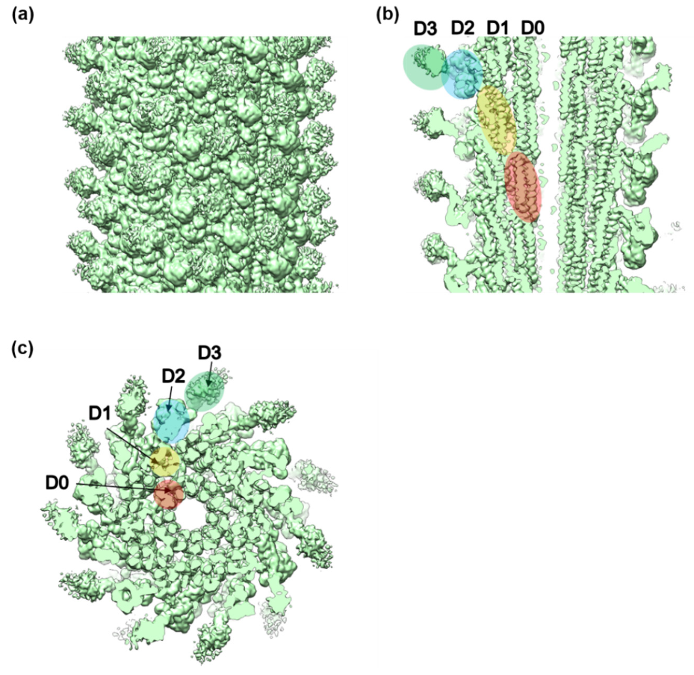Biomolecules 10 00246 g002 Biomolecules 10 00246 g002