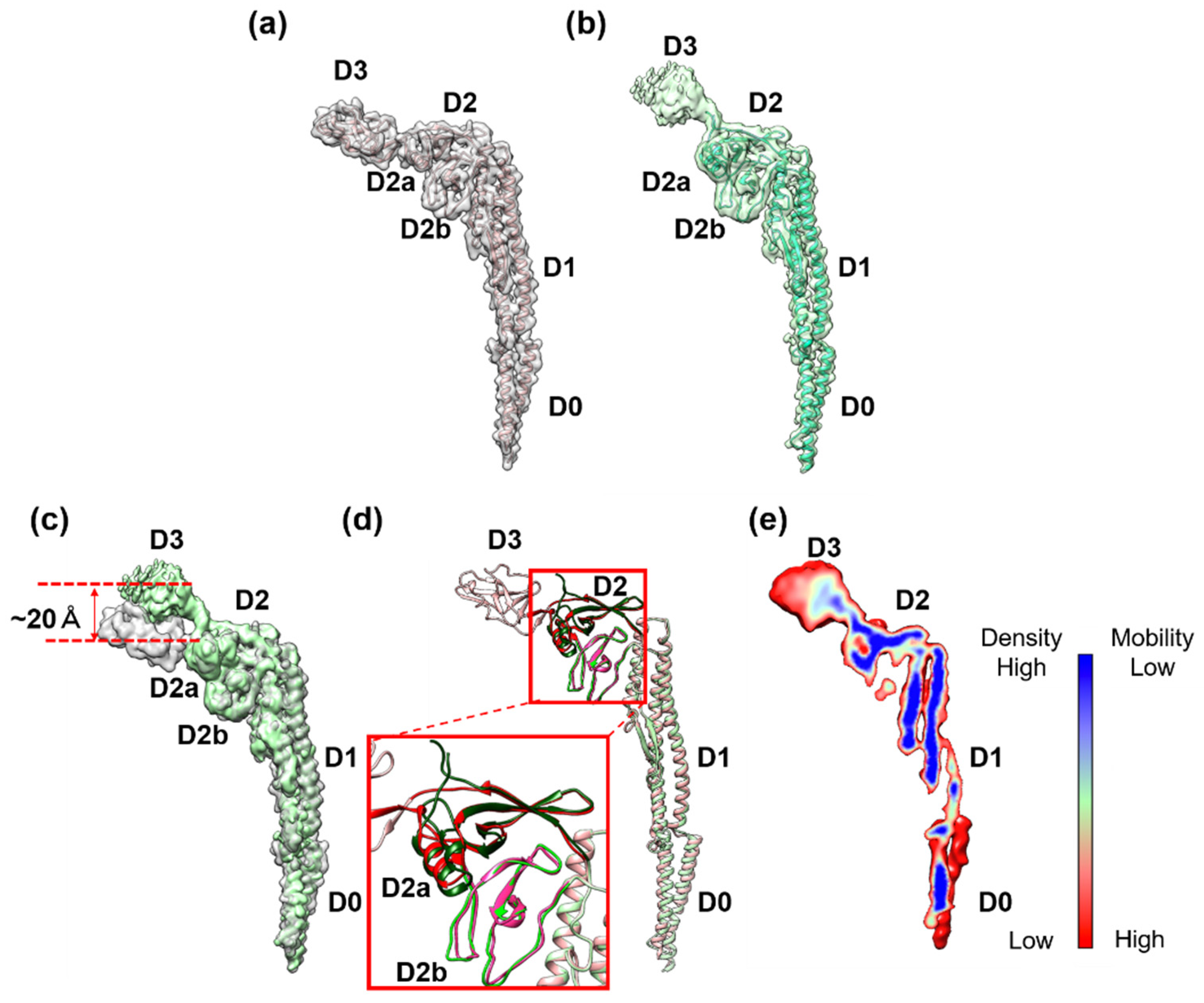 Biomolecules 10 00246 g003 Biomolecules 10 00246 g003