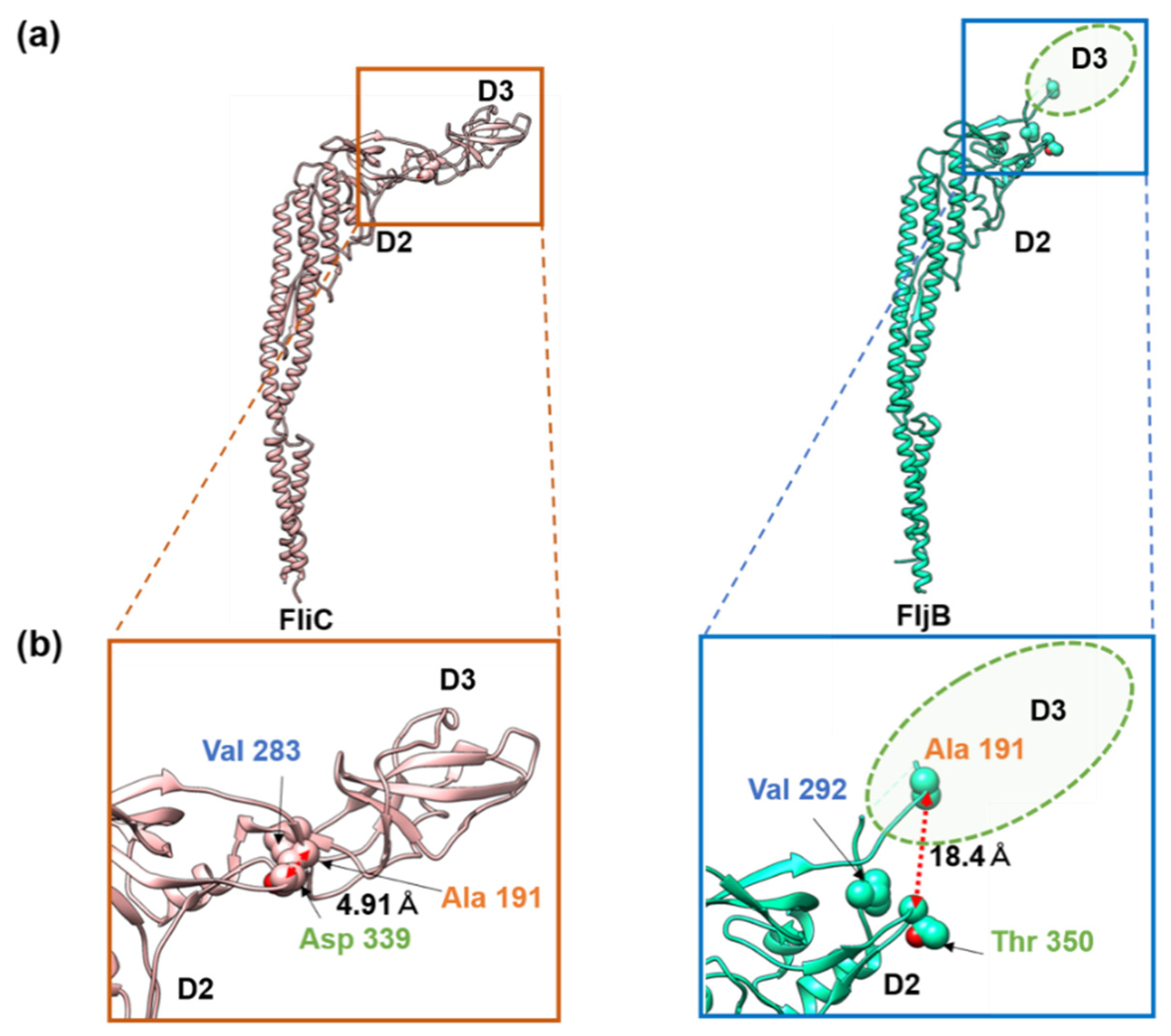 Biomolecules 10 00246 g004 Biomolecules 10 00246 g004