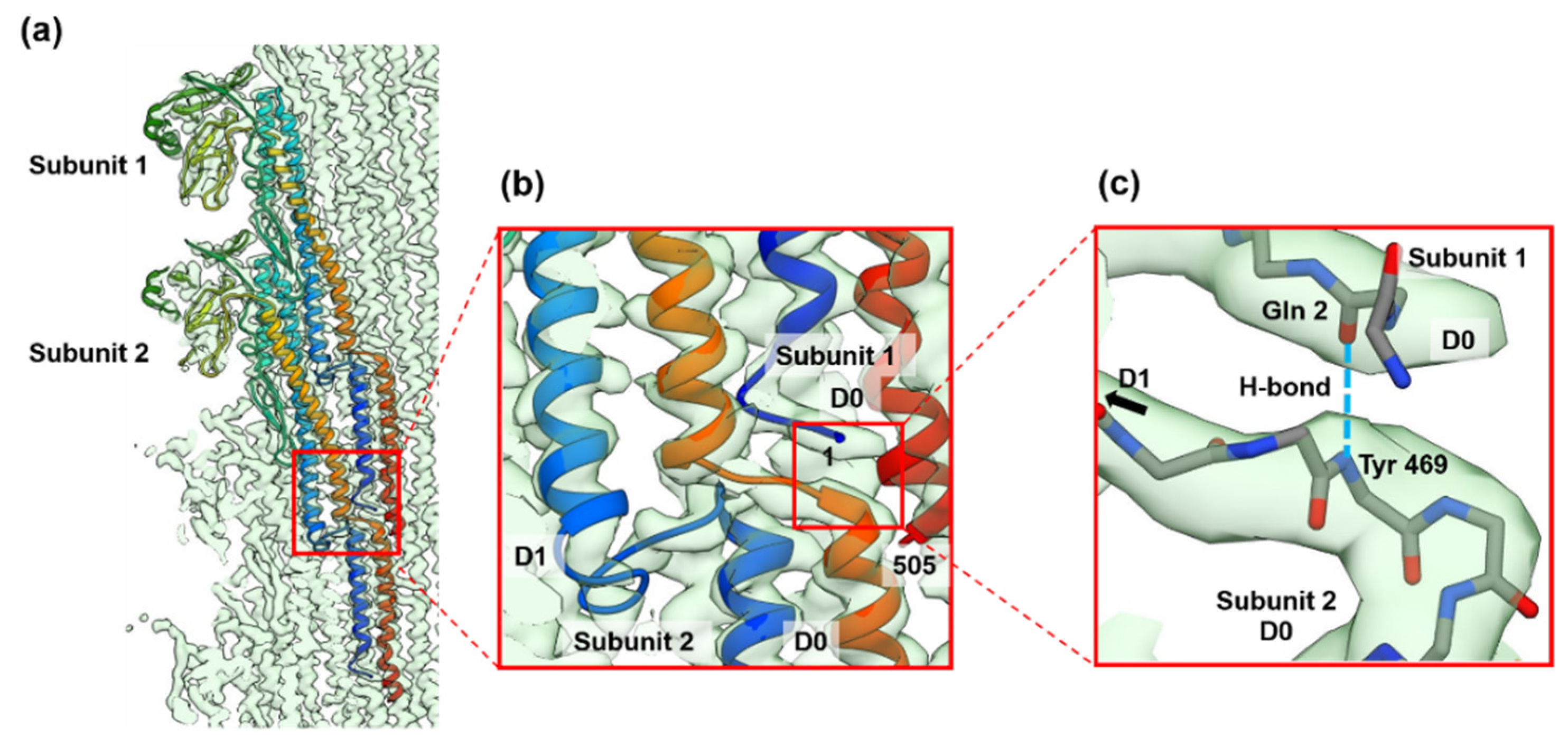 Biomolecules 10 00246 g005 Biomolecules 10 00246 g005