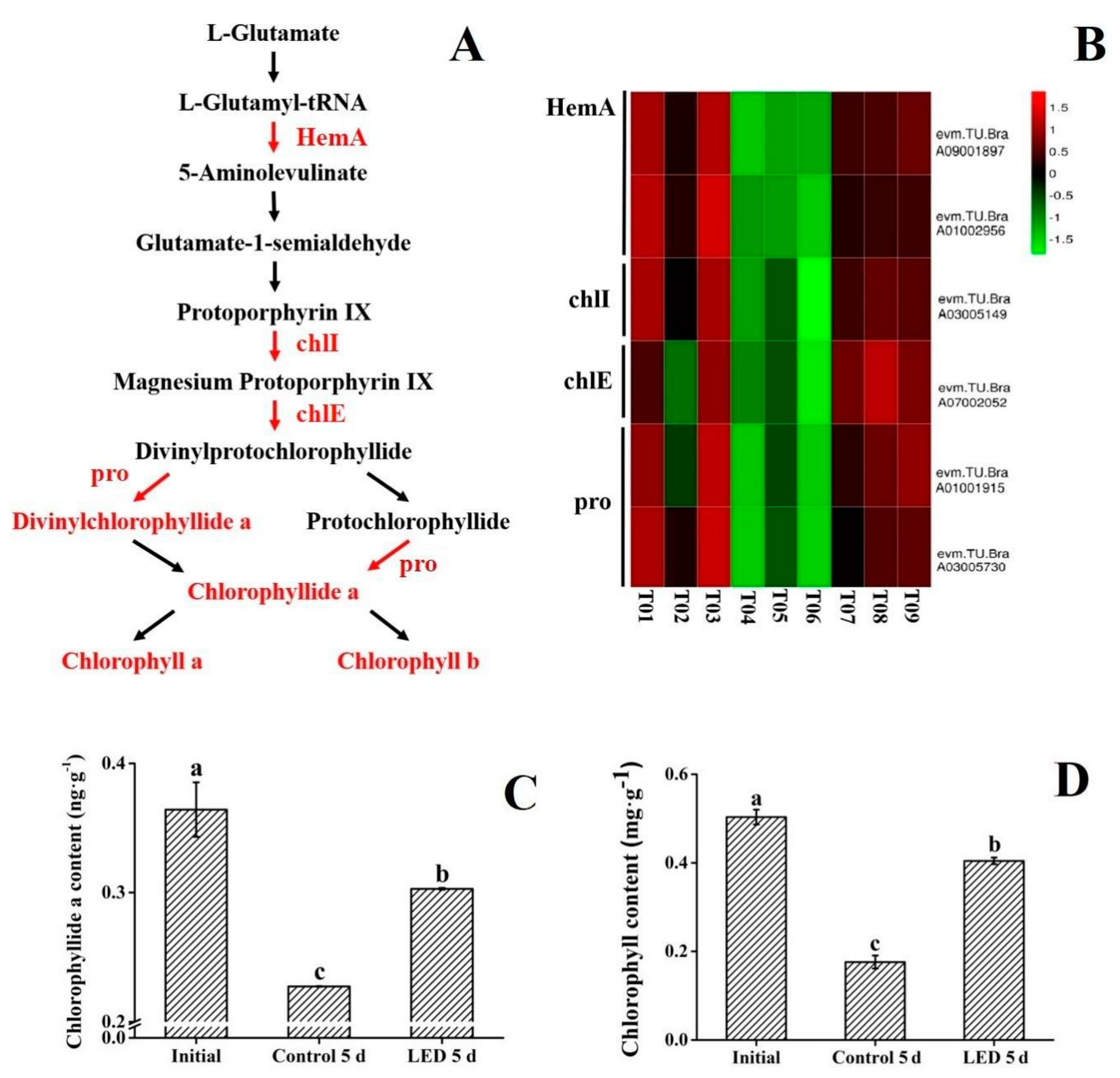 Biomolecules 10 00252 g003 Biomolecules 10 00252 g003