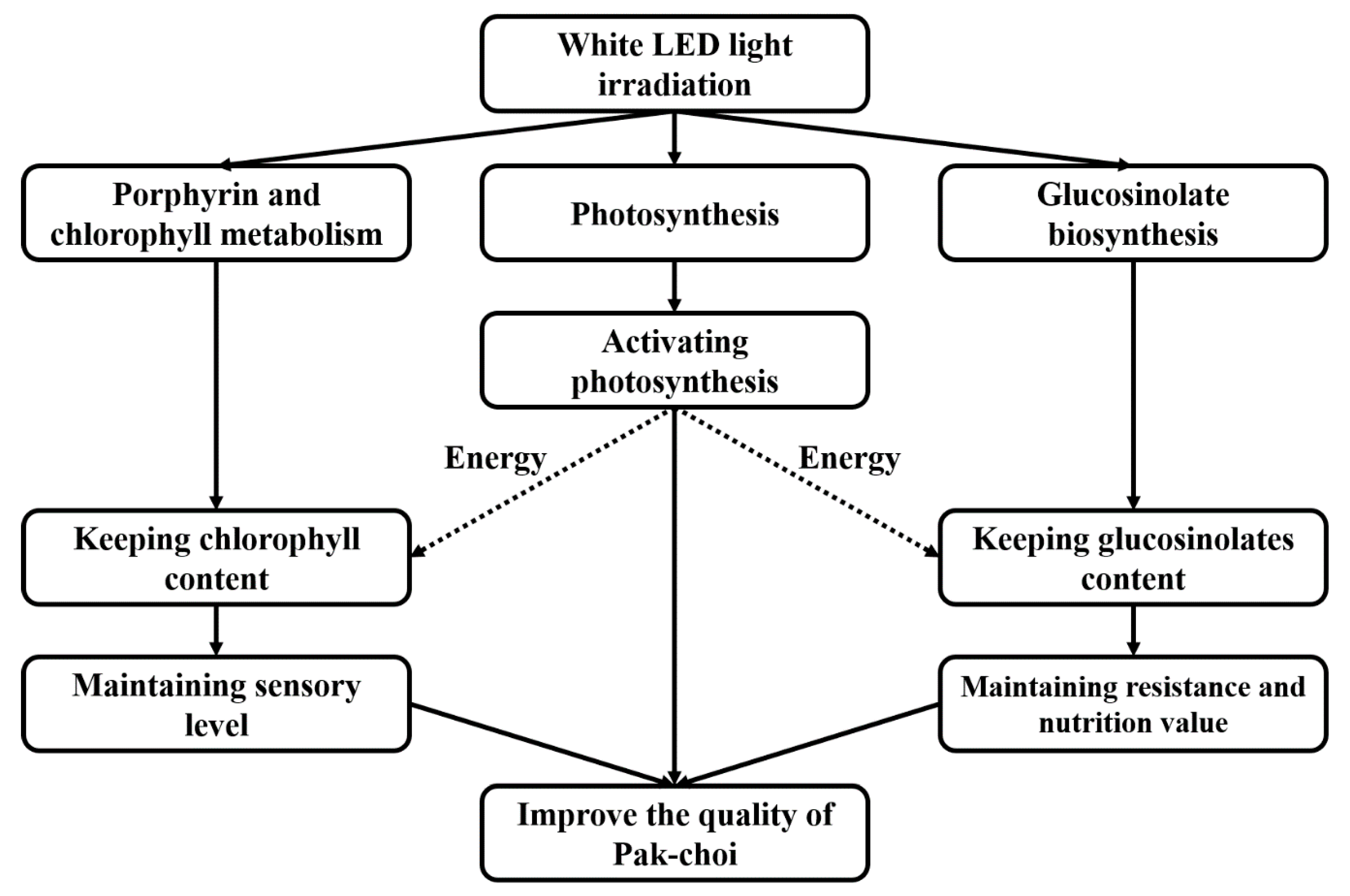 Biomolecules 10 00252 g005 Biomolecules 10 00252 g005