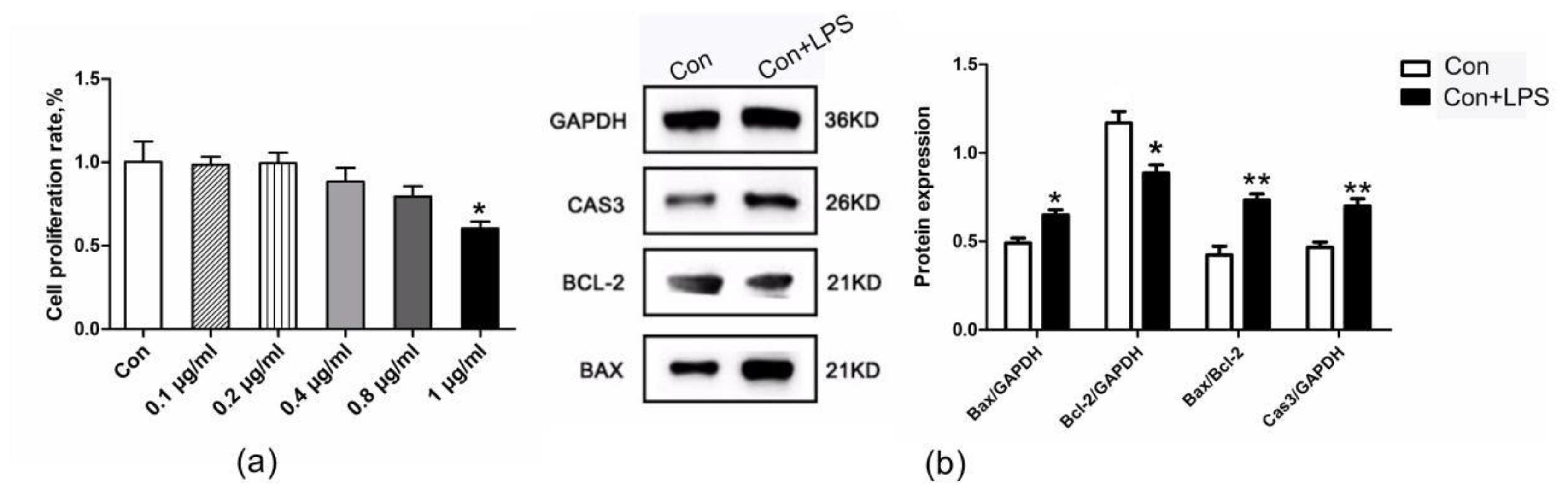 Biomolecules 10 00260 g002