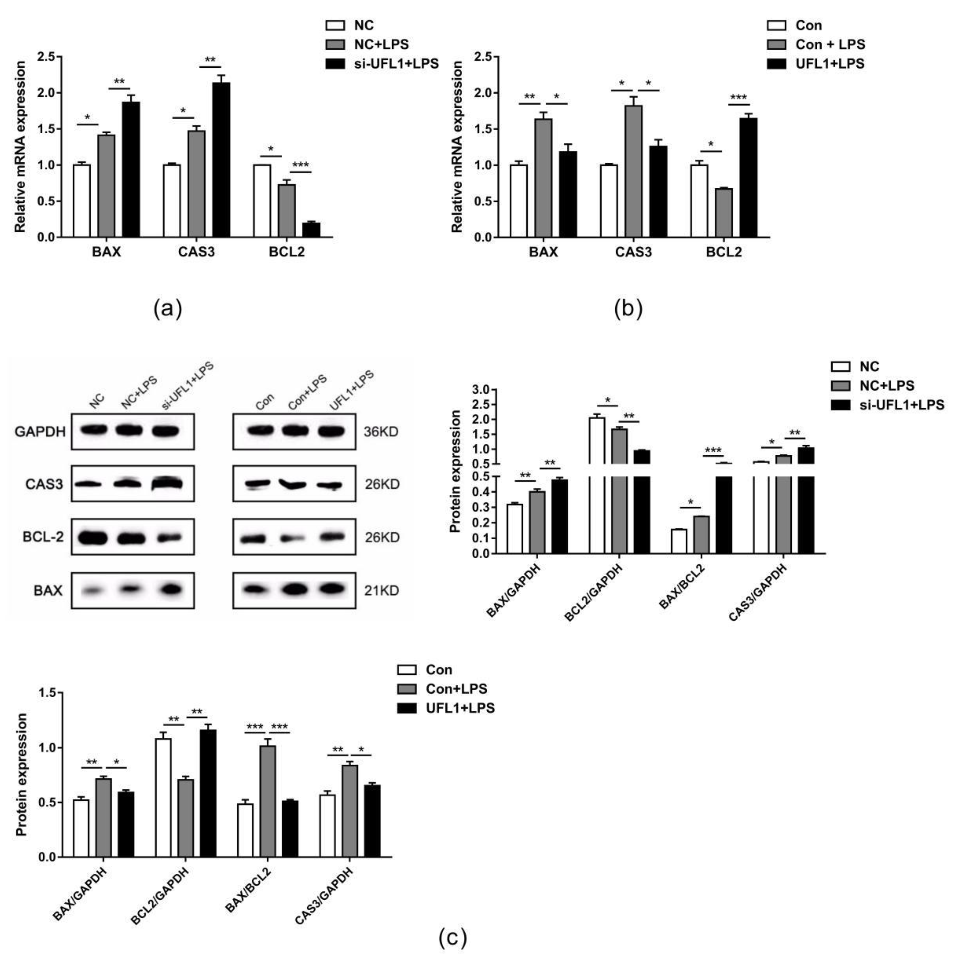 Biomolecules 10 00260 g005