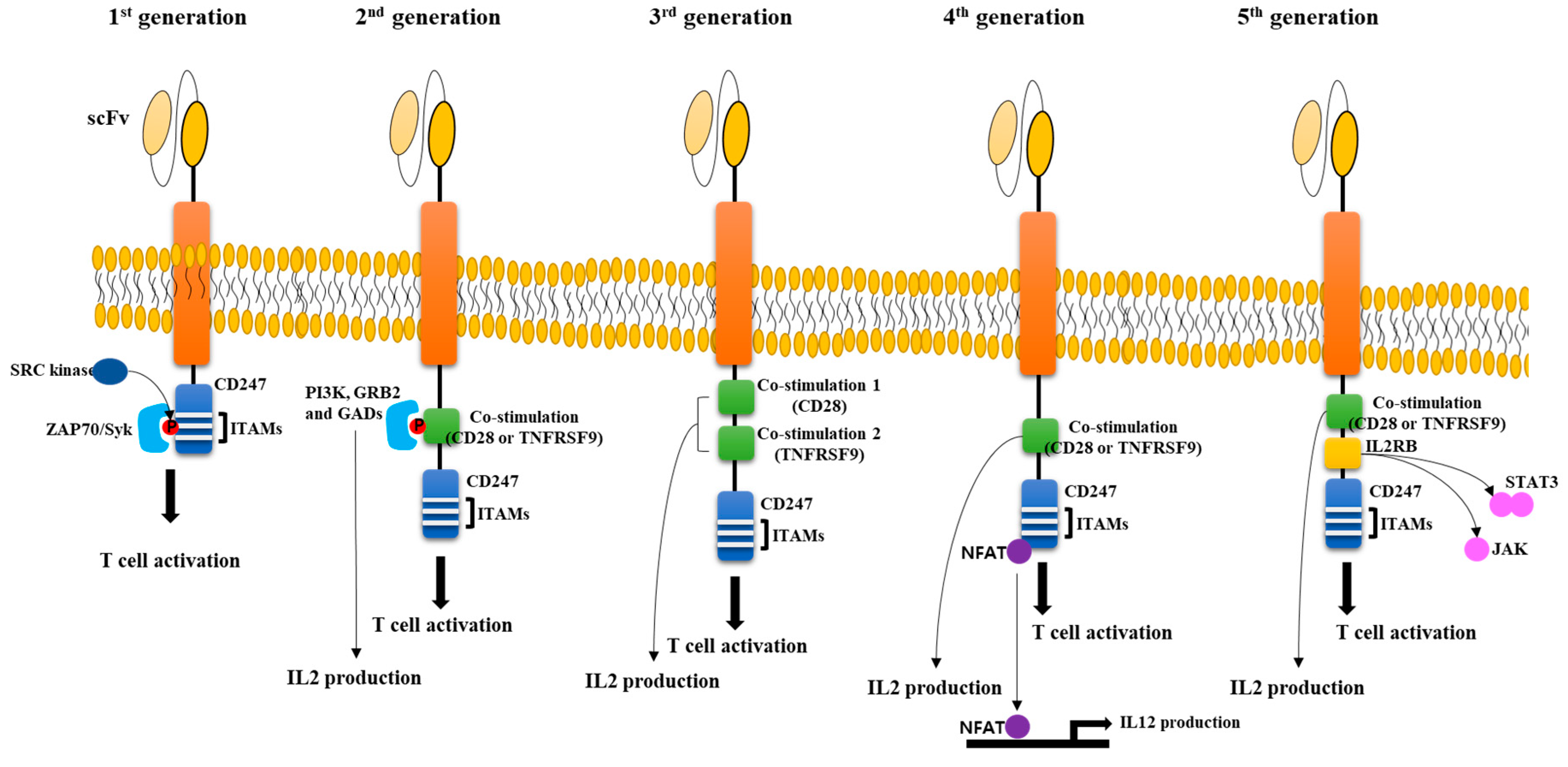 Biomolecules 10 00263 g001