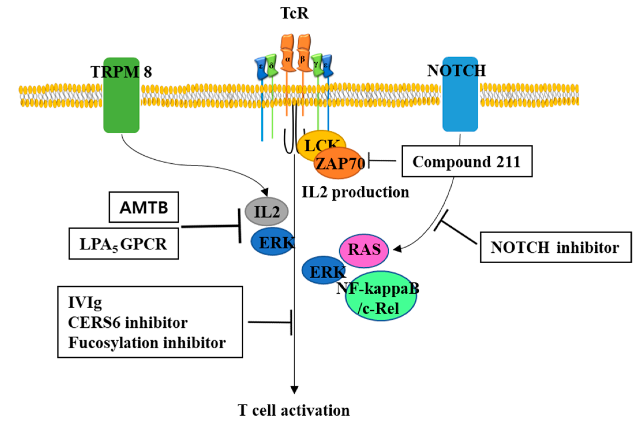 Biomolecules 10 00263 g002