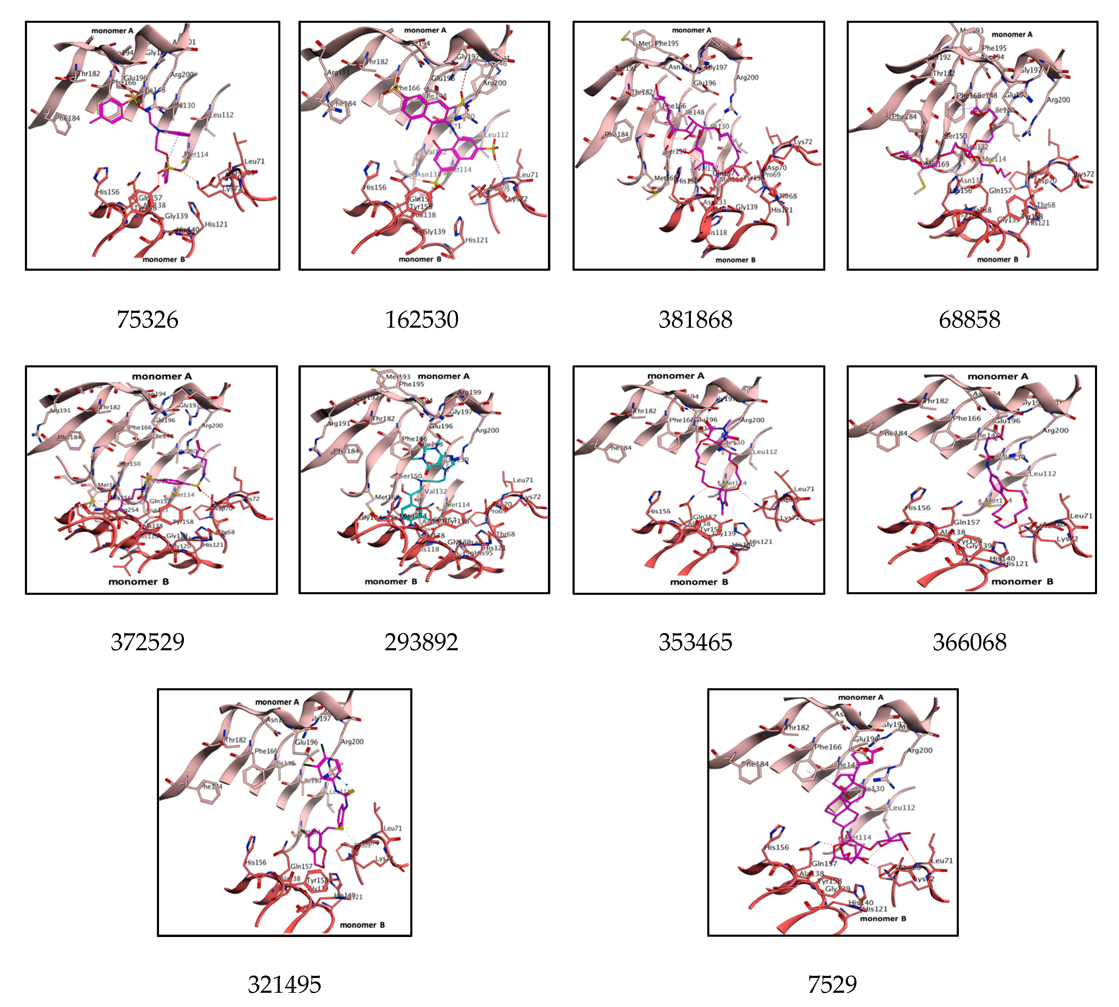 Biomolecules 10 00266 g007