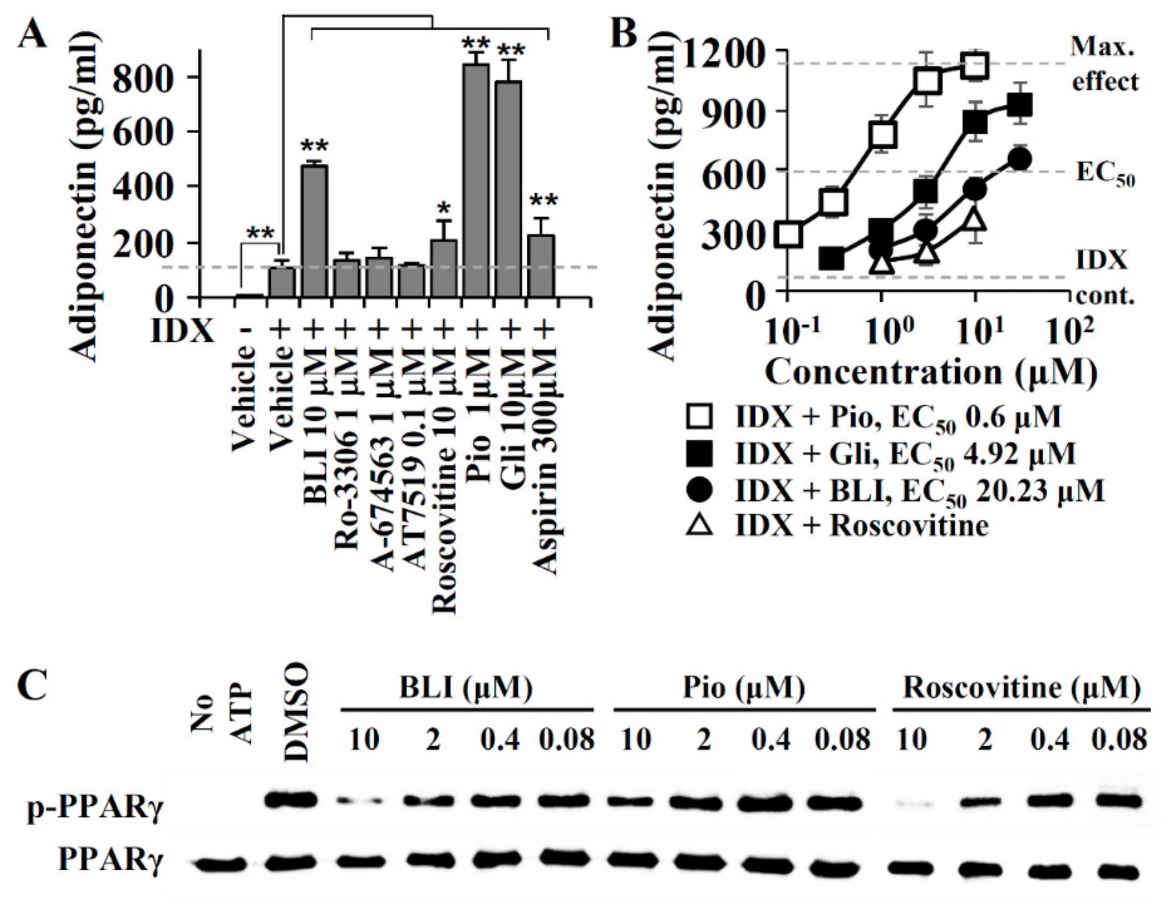 Biomolecules 10 00275 g002