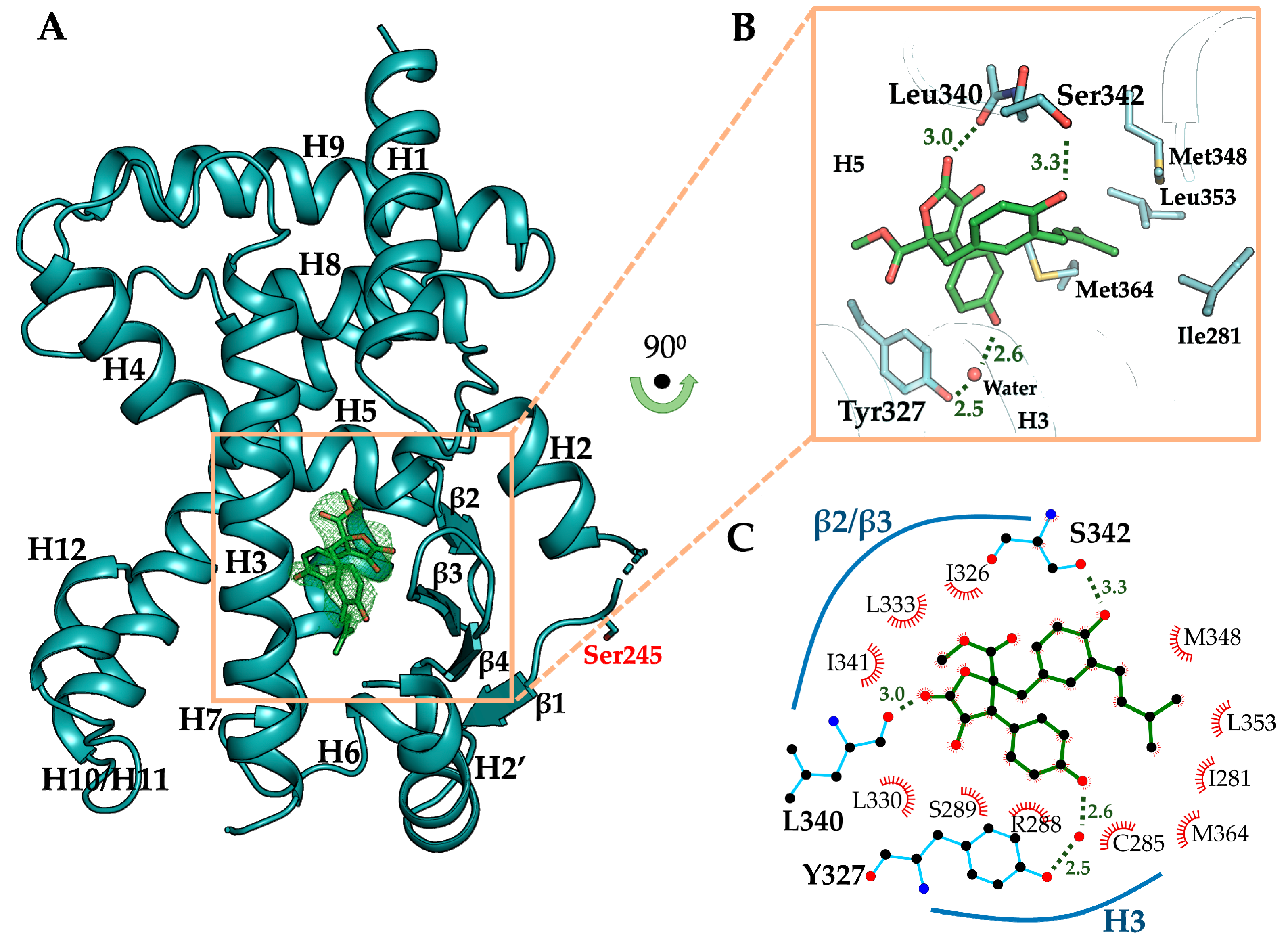 Biomolecules 10 00275 g004