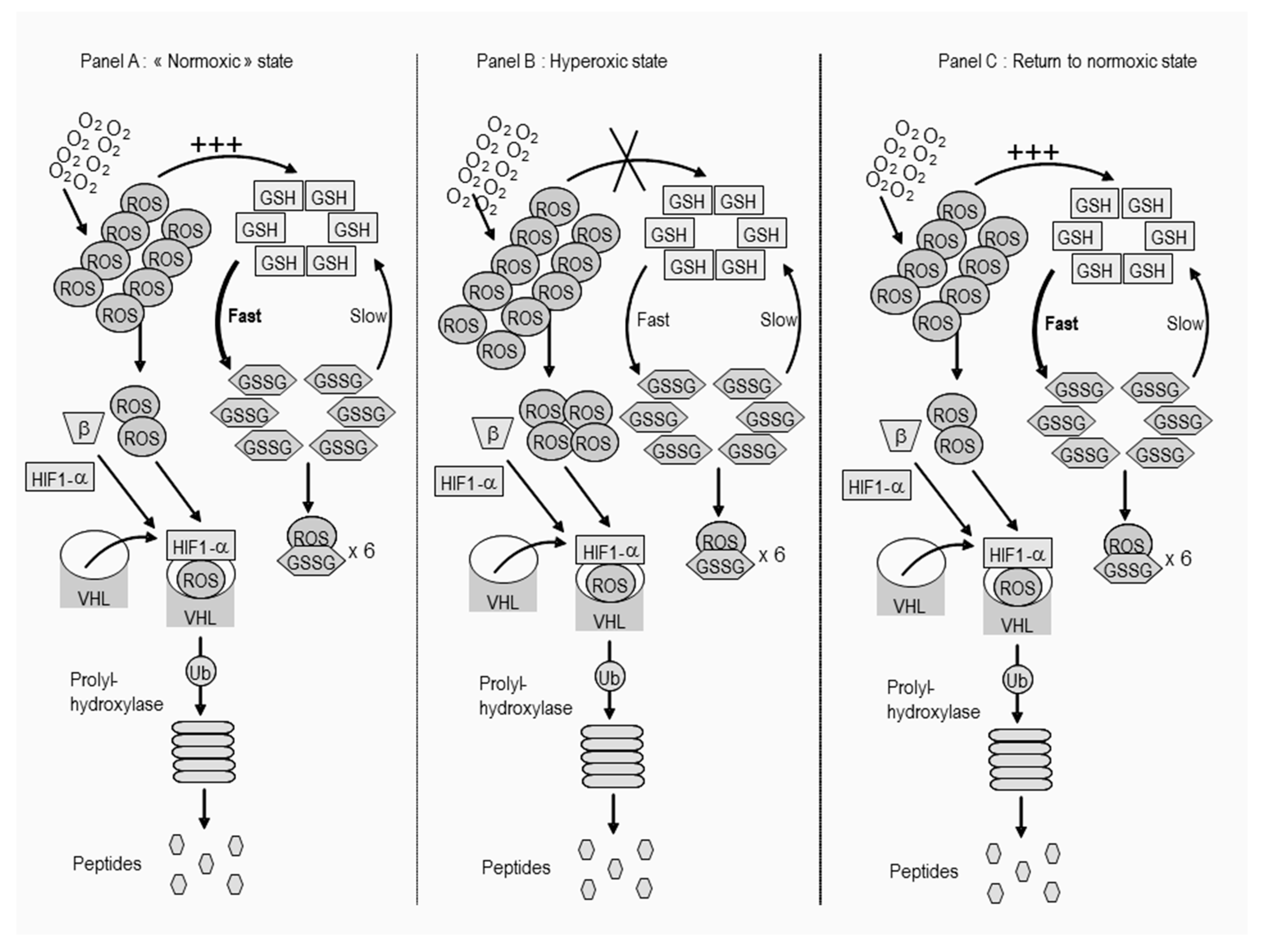 Biomolecules 10 00282 g001