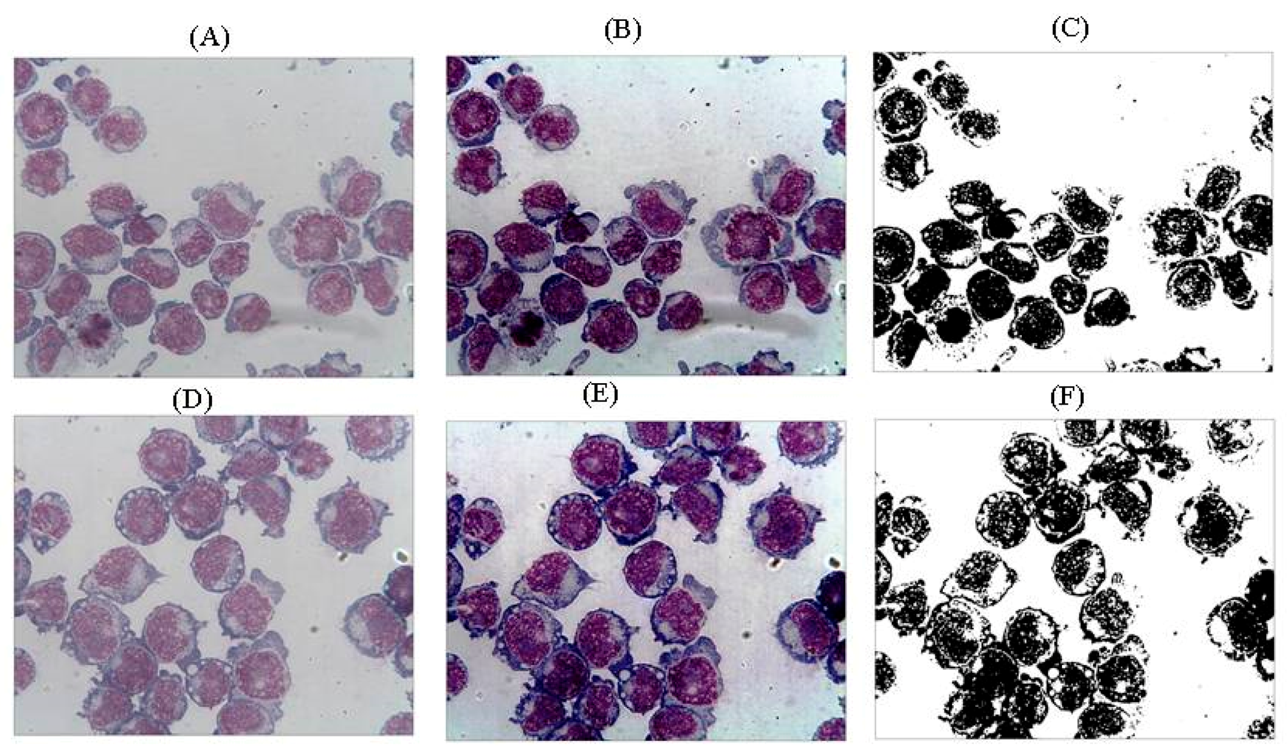 Biomolecules 10 00282 g002