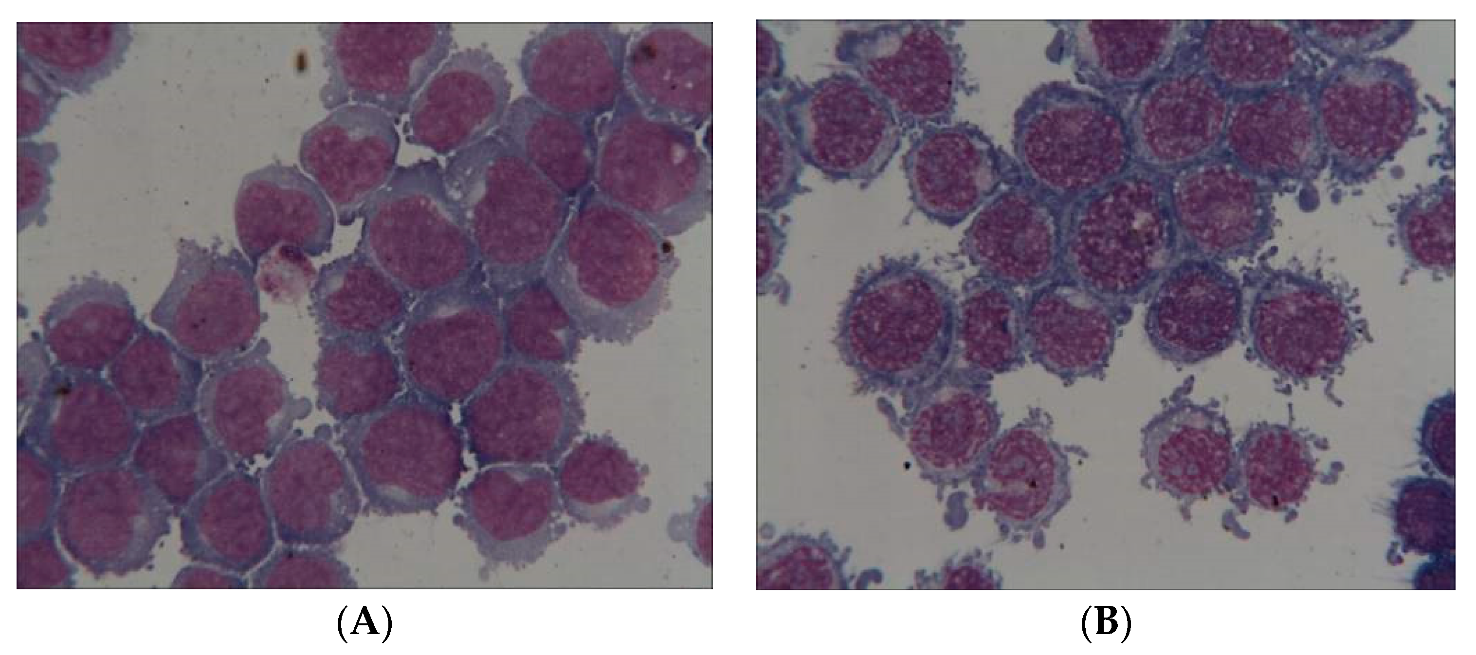 Biomolecules 10 00282 g004