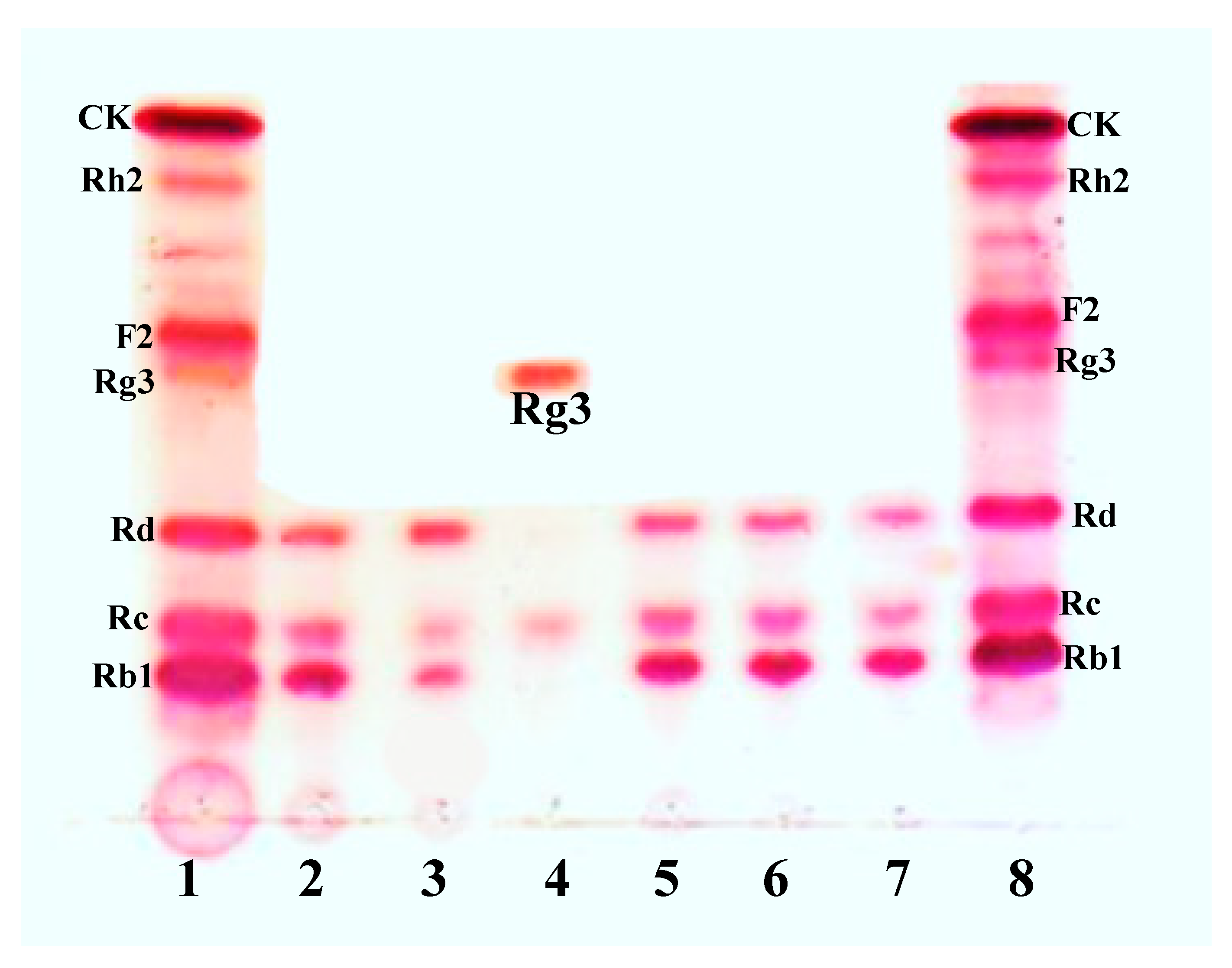 Biomolecules 10 00288 g001