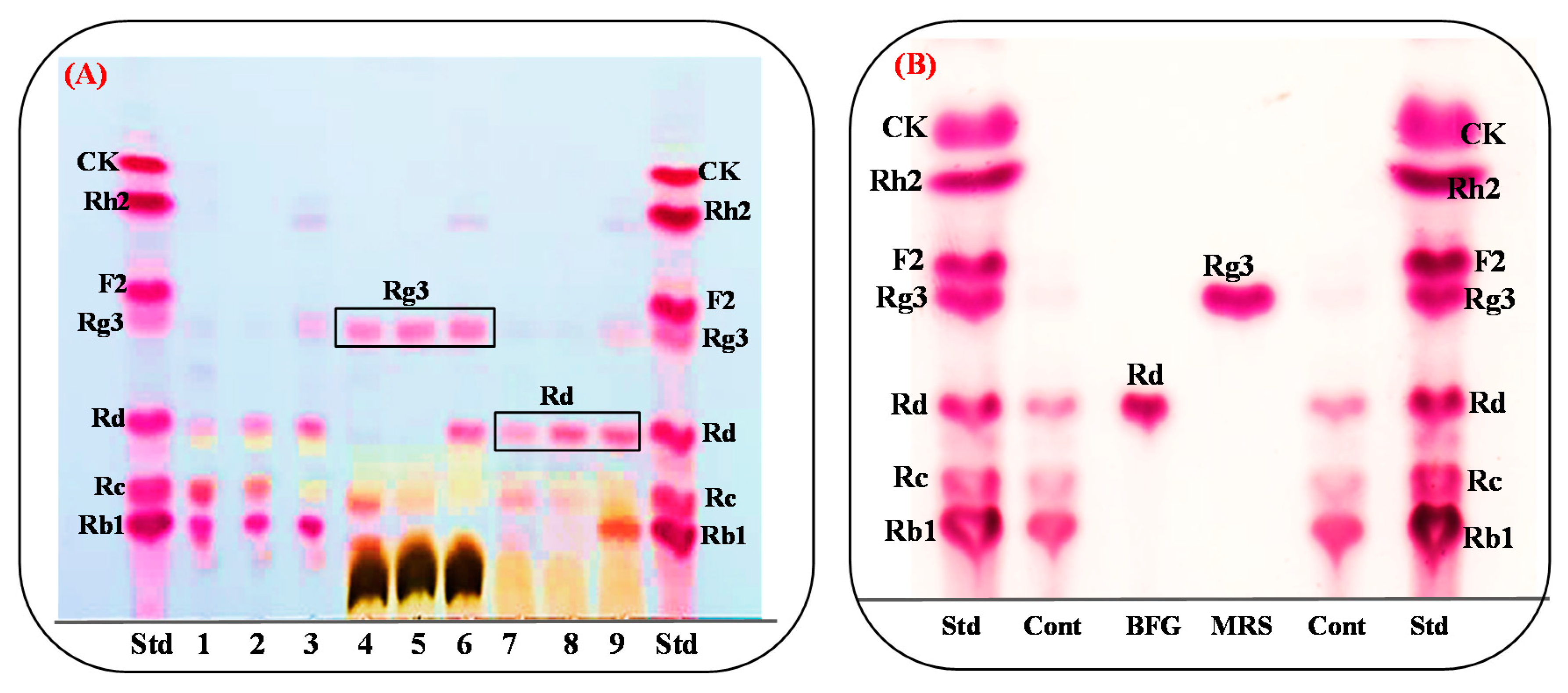 Biomolecules 10 00288 g002