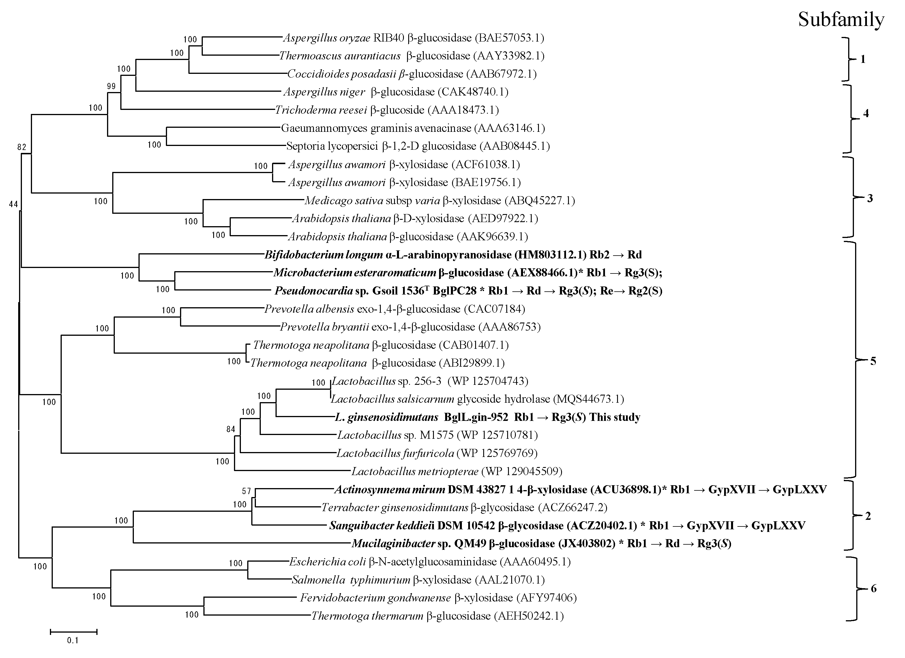 Biomolecules 10 00288 g003