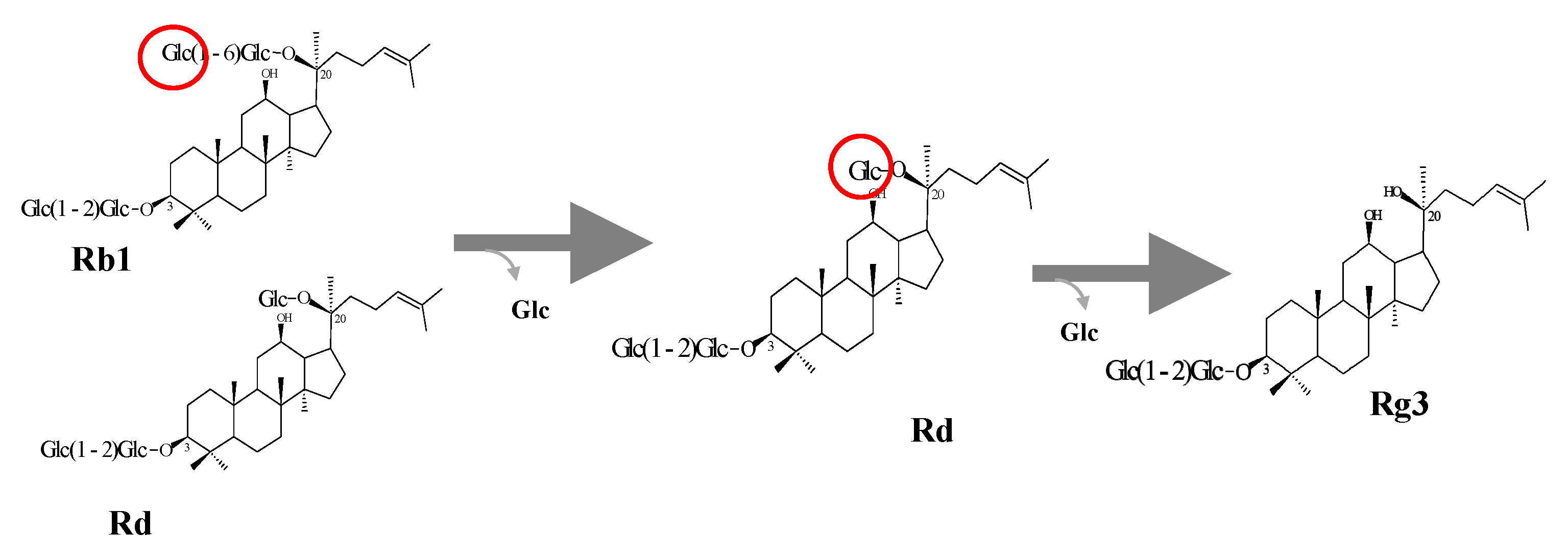 Biomolecules 10 00288 g005