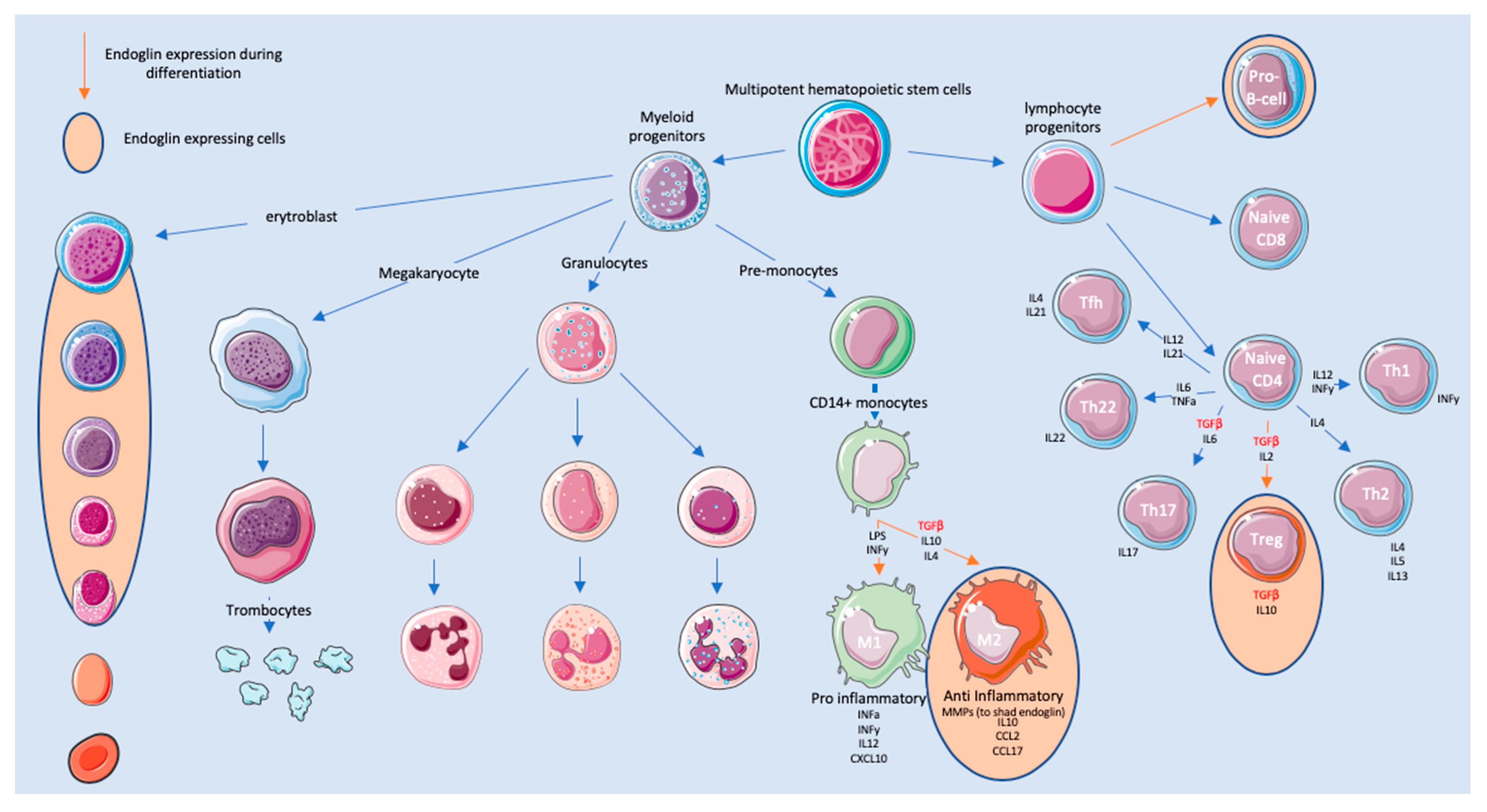 Biomolecules 10 00289 g001 Biomolecules 10 00289 g001