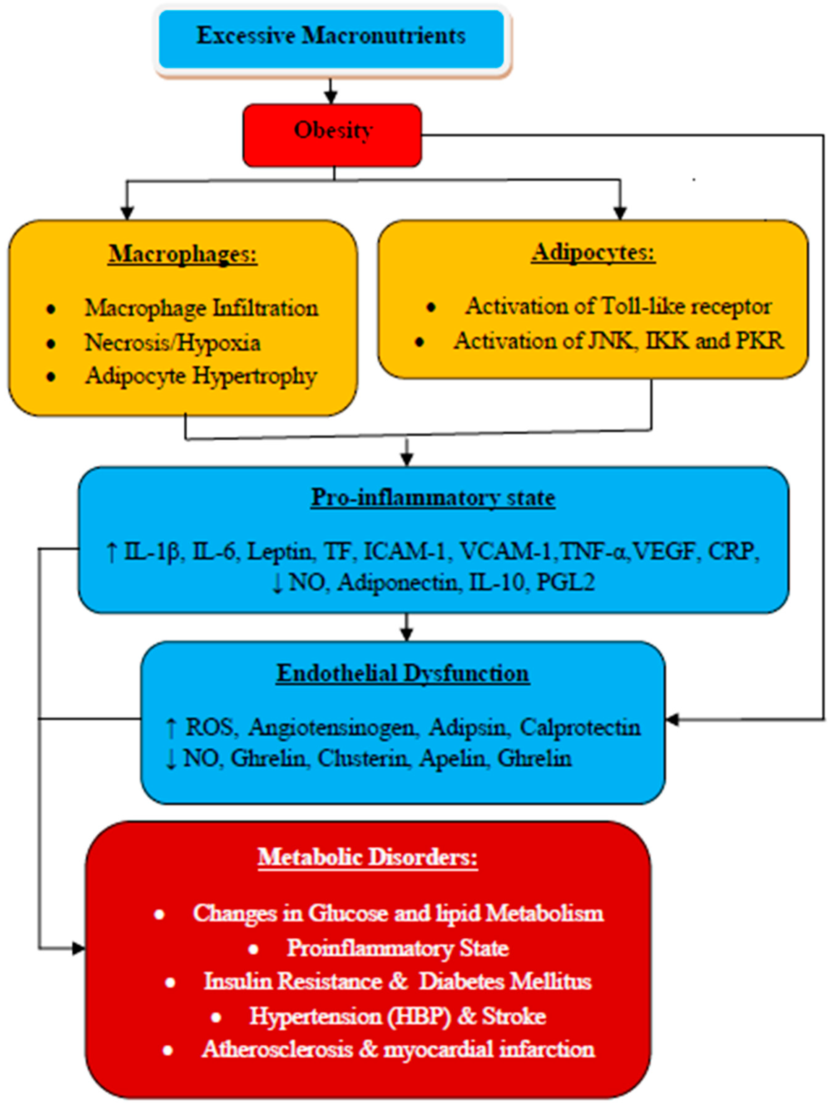 Biomolecules 10 00291 g001