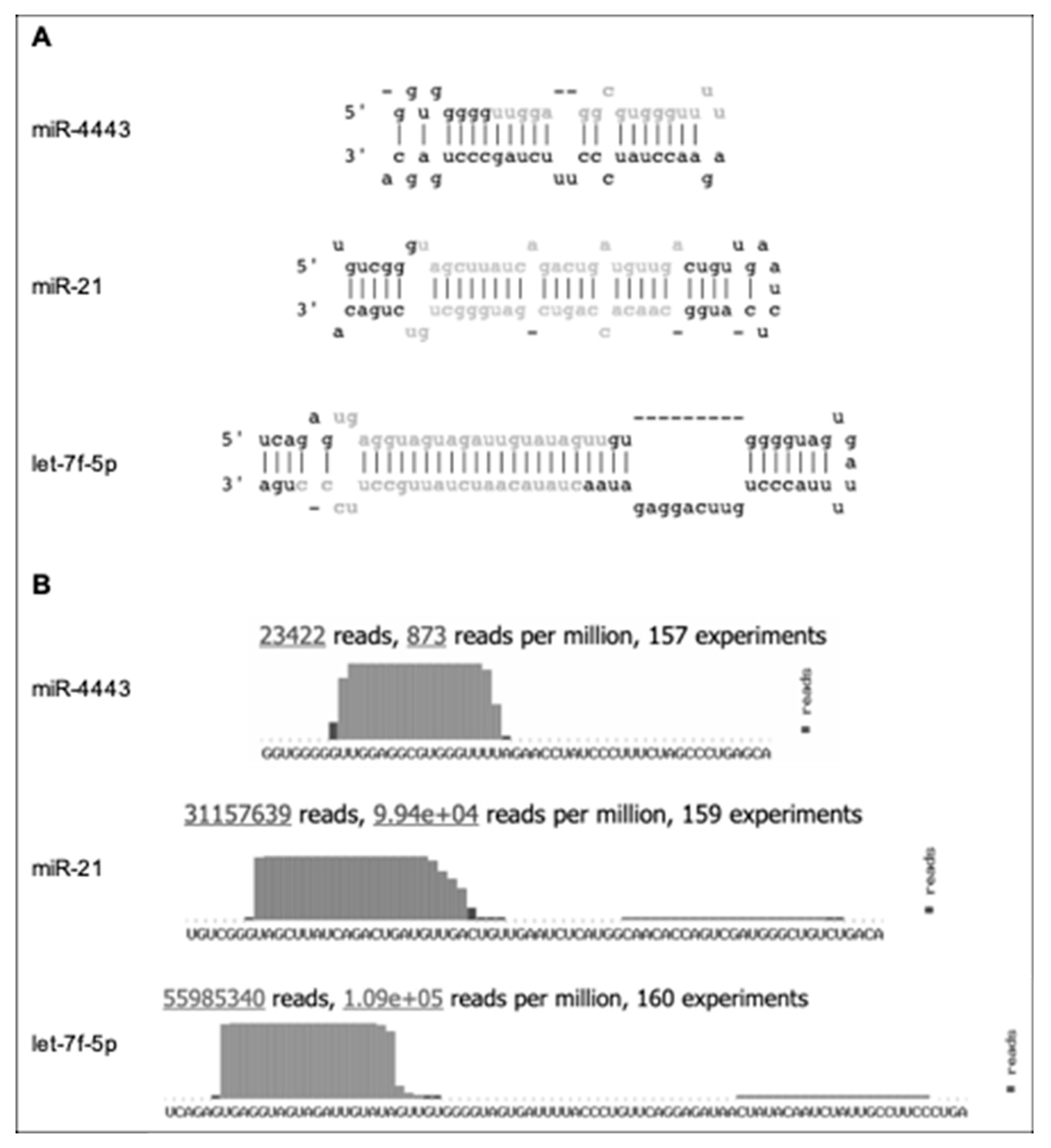 Biomolecules 10 00293 g001