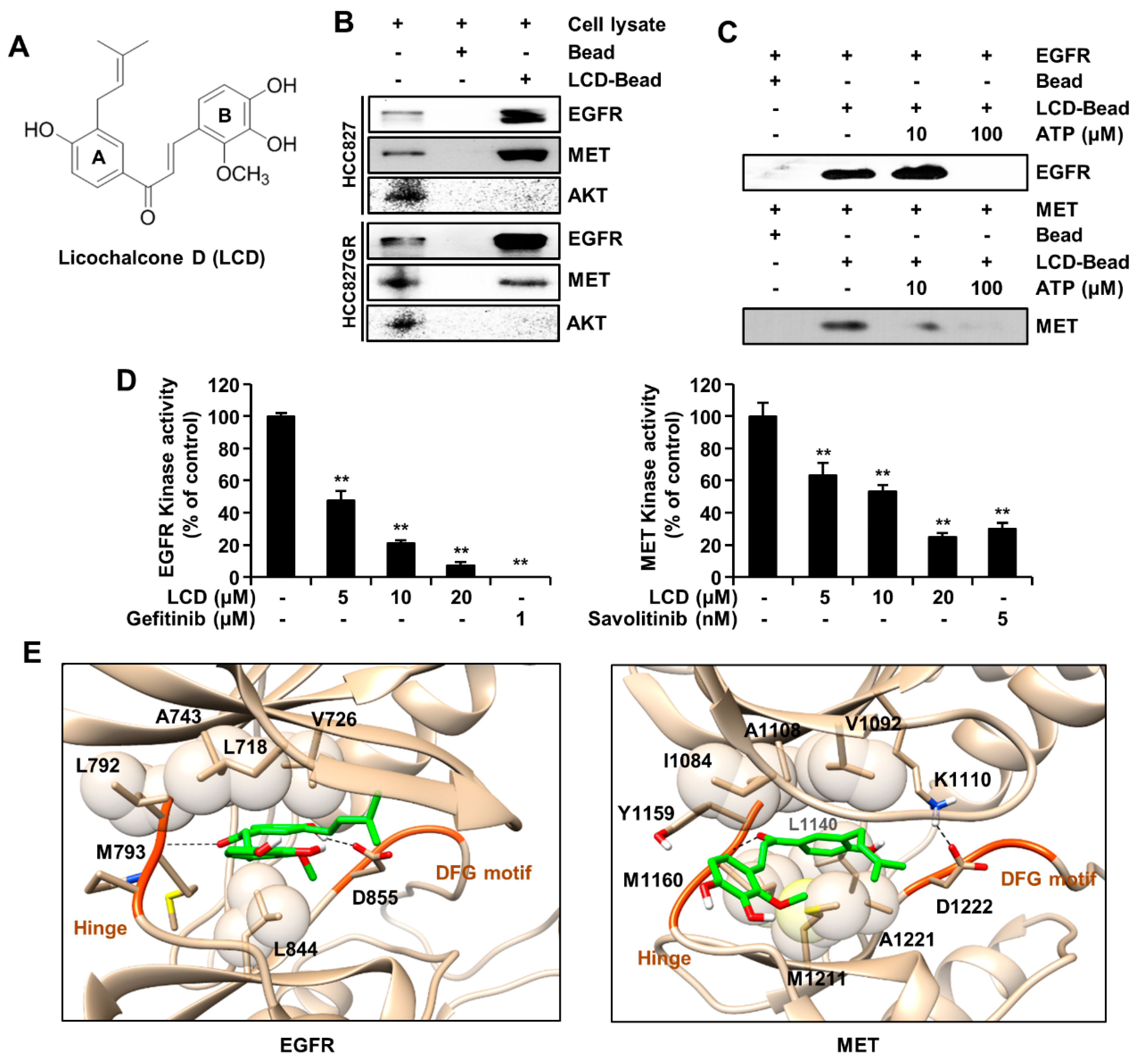 Biomolecules 10 00297 g001 Biomolecules 10 00297 g001