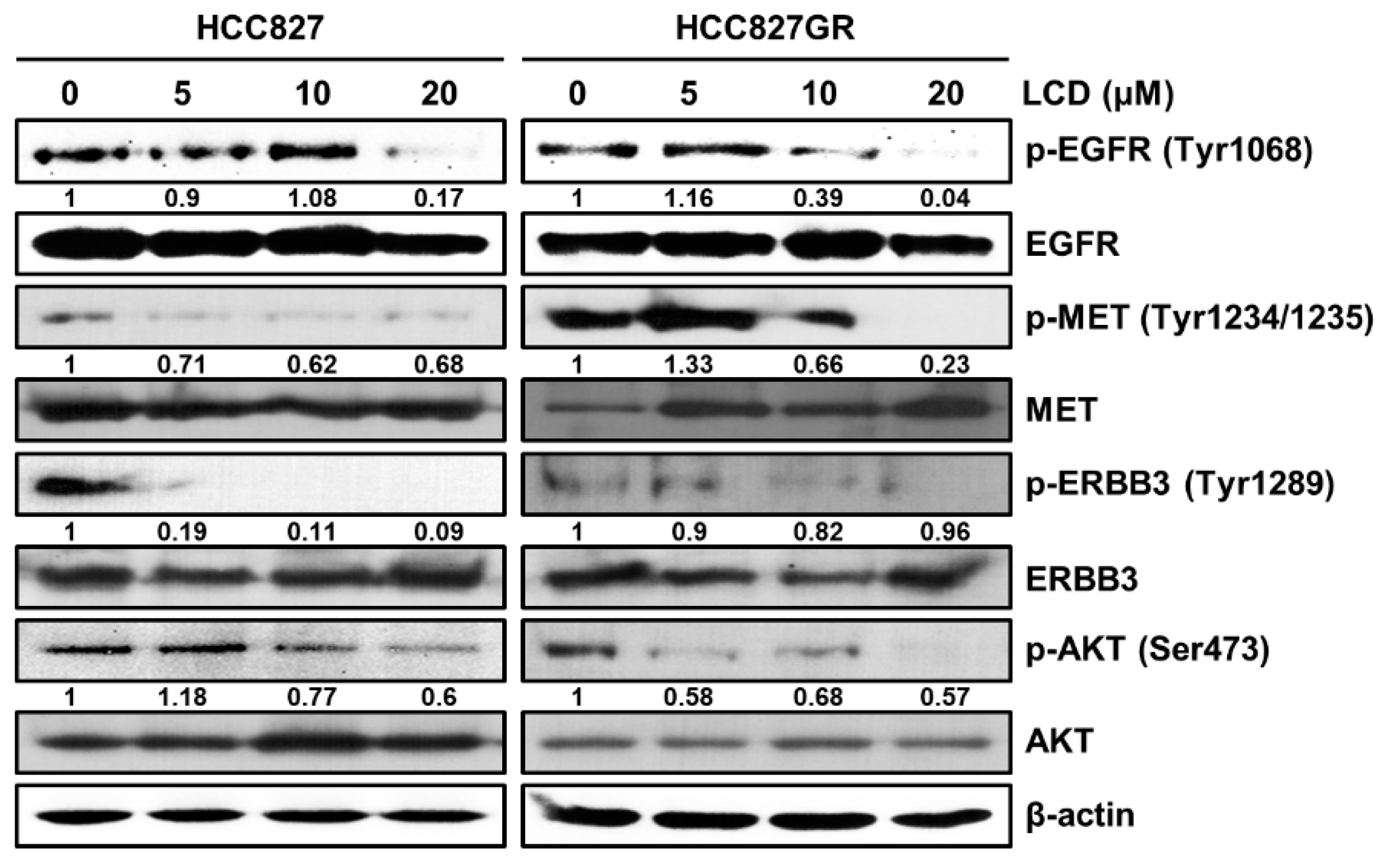 Biomolecules 10 00297 g002 Biomolecules 10 00297 g002