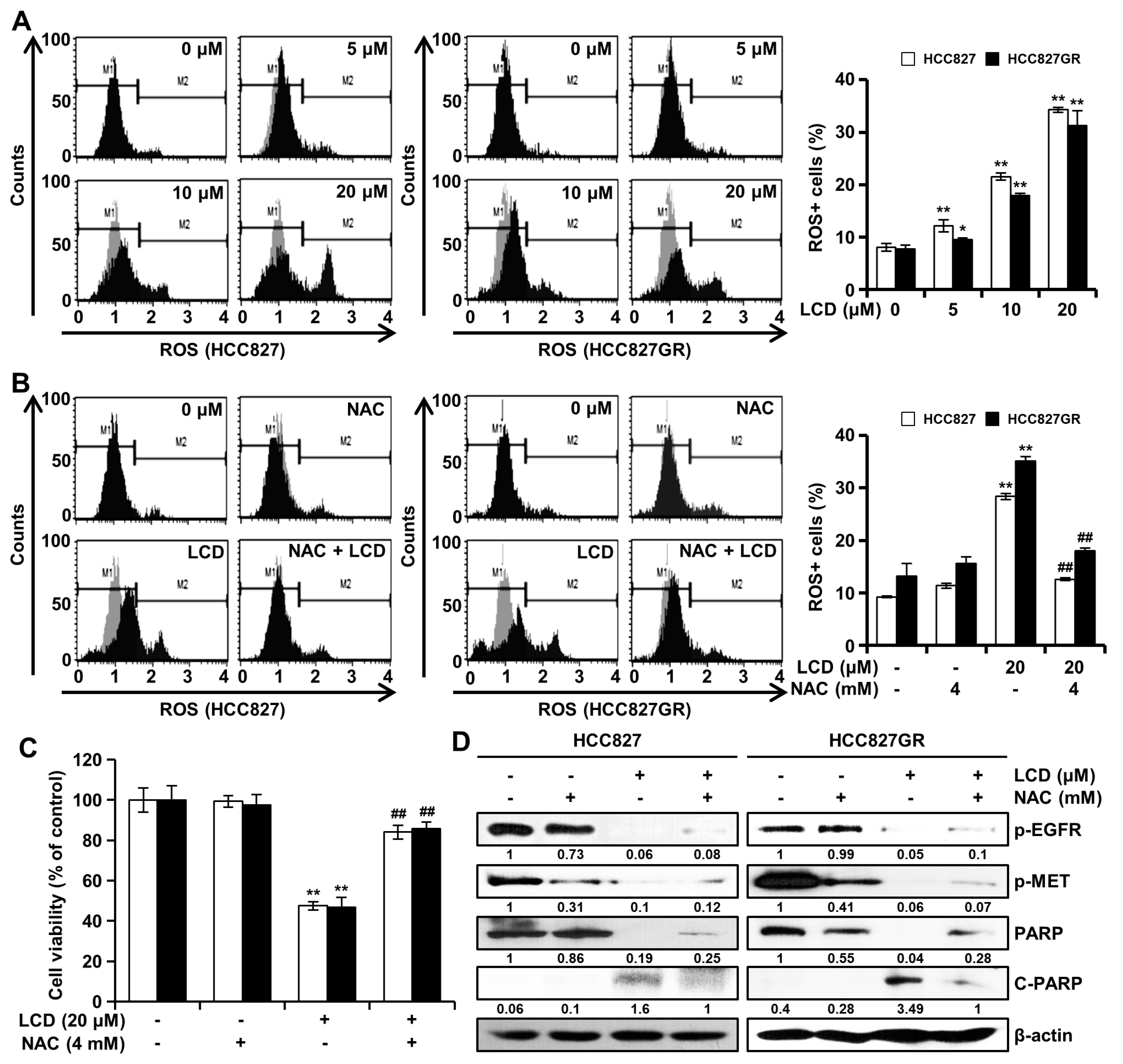 Biomolecules 10 00297 g005 Biomolecules 10 00297 g005