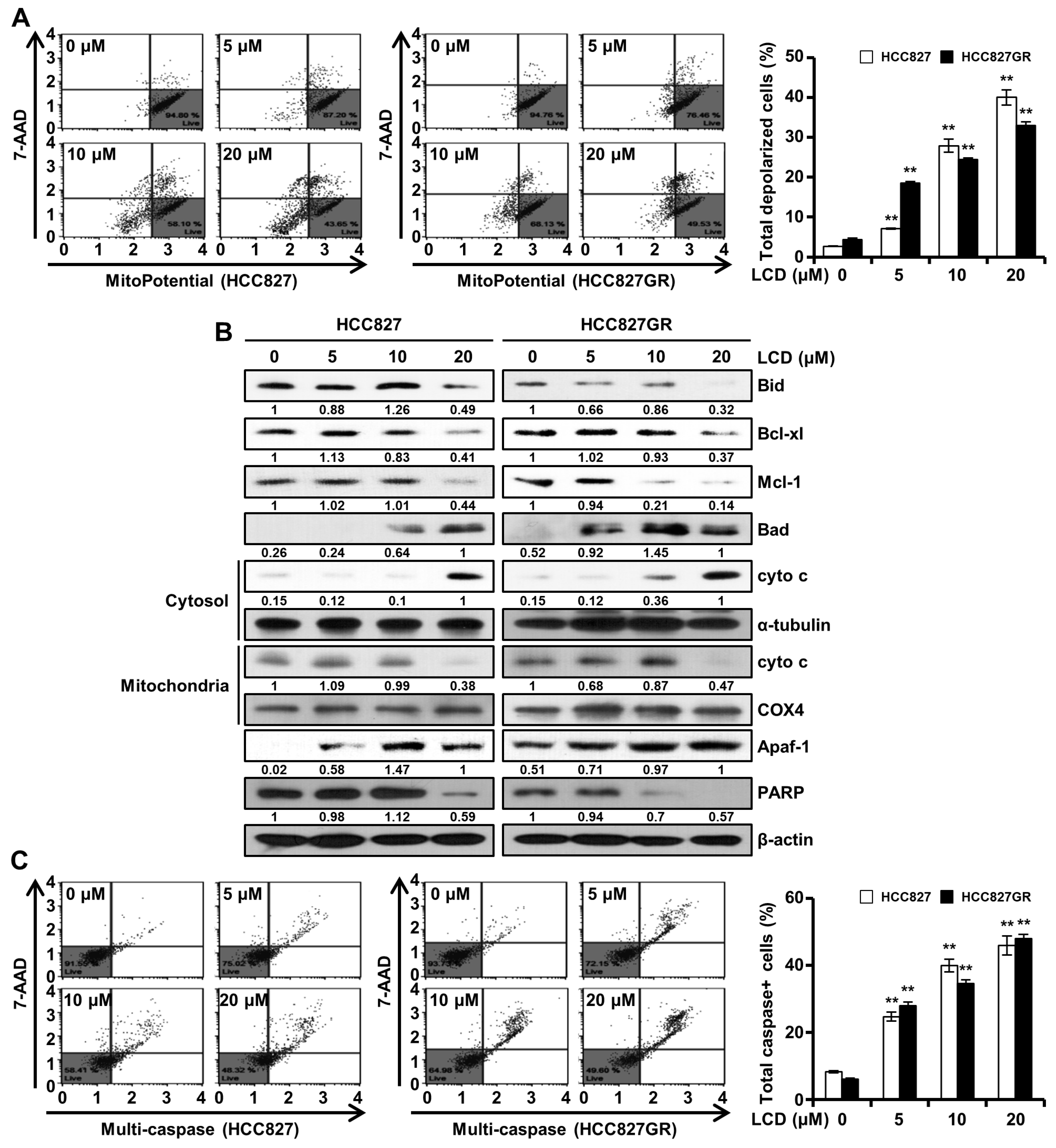 Biomolecules 10 00297 g006 Biomolecules 10 00297 g006