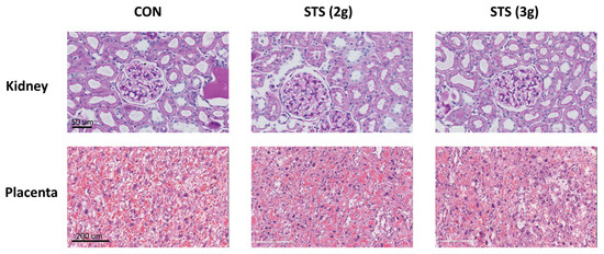 Biomolecules 10 00302 g0a2