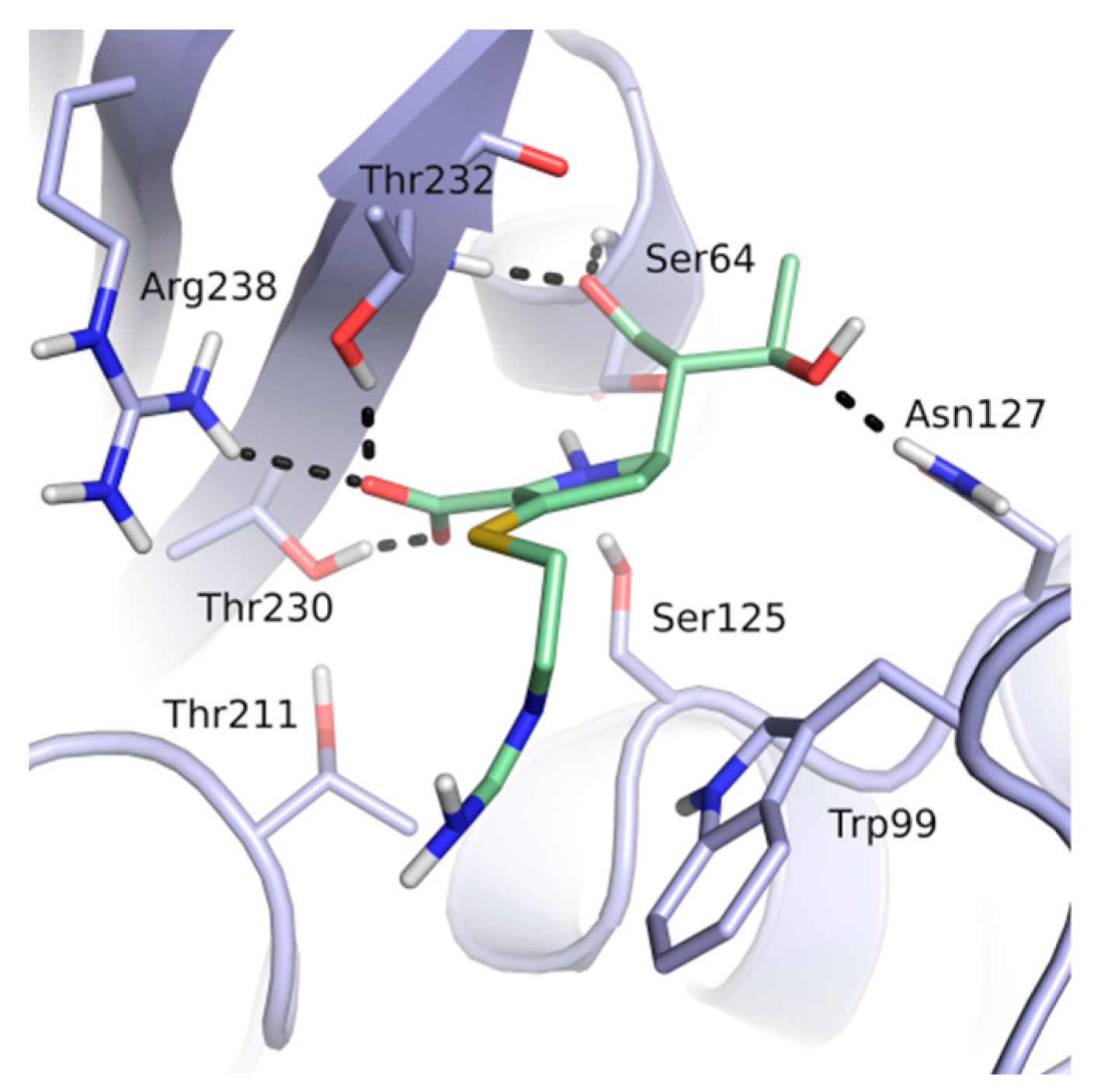 Biomolecules 10 00304 g001