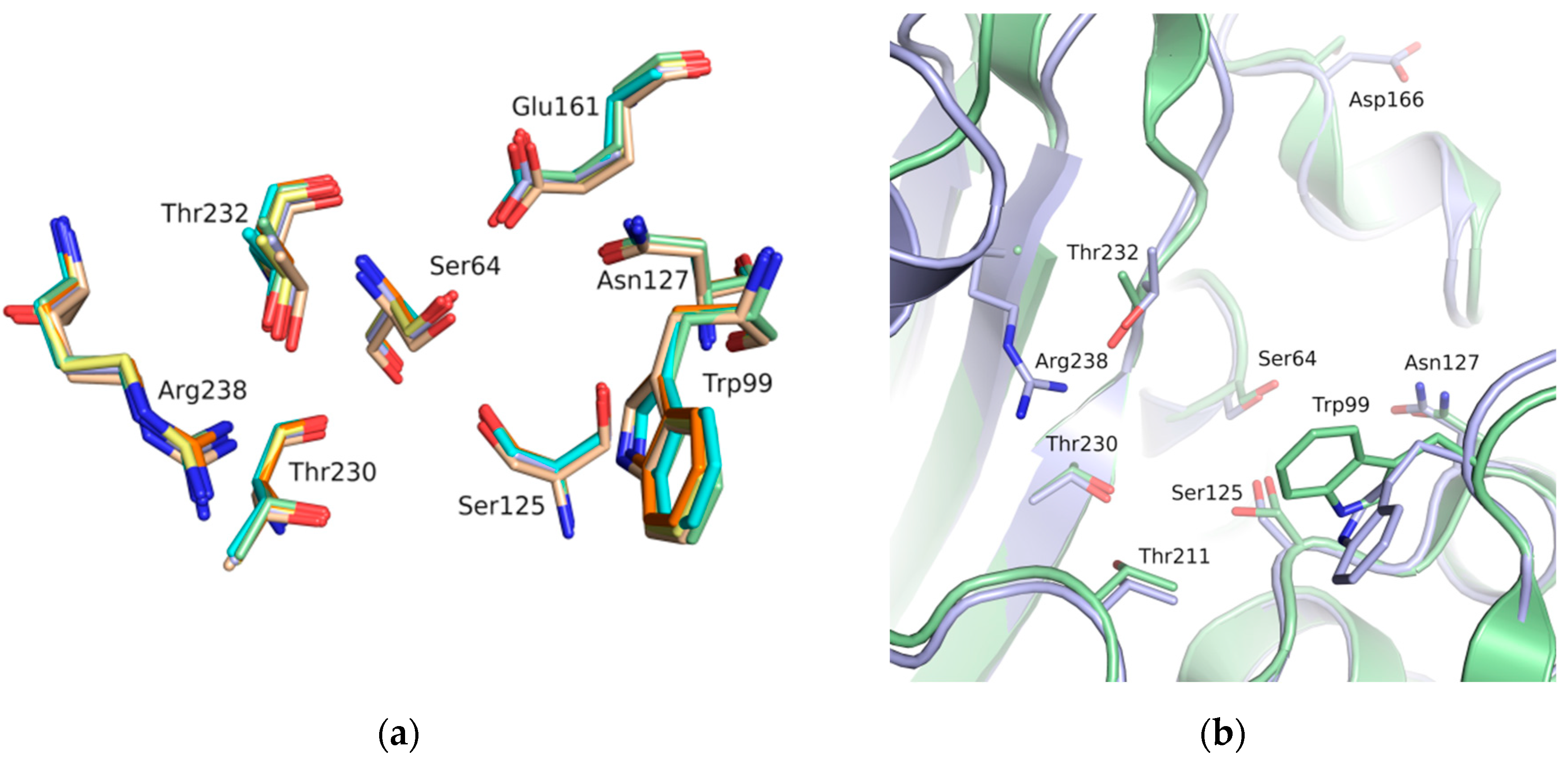 Biomolecules 10 00304 g003