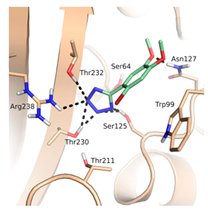 Biomolecules 10 00304 i002