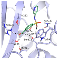 Biomolecules 10 00304 i004