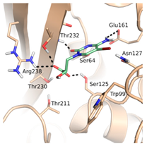 Biomolecules 10 00304 i006