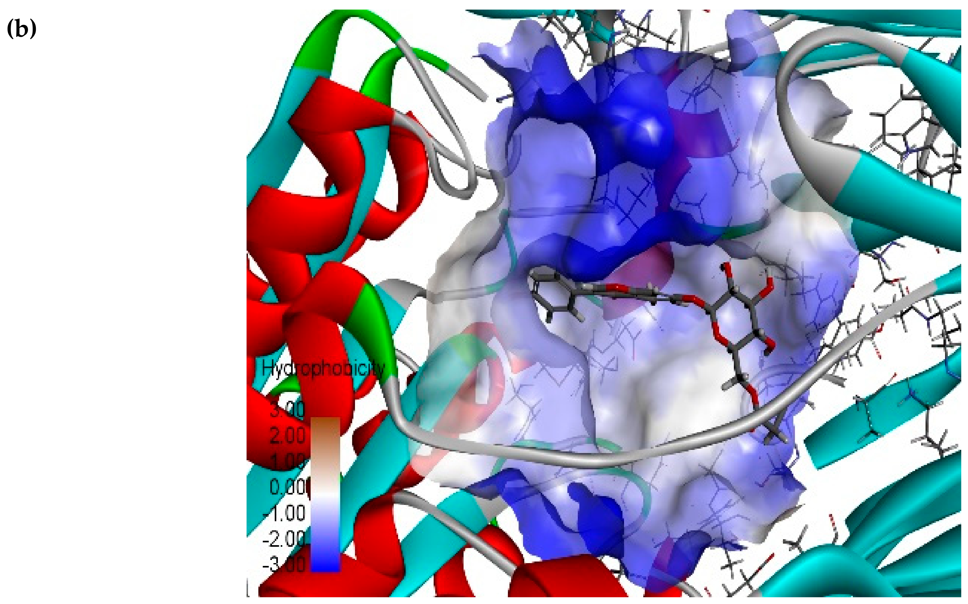 Biomolecules 10 00305 g009b