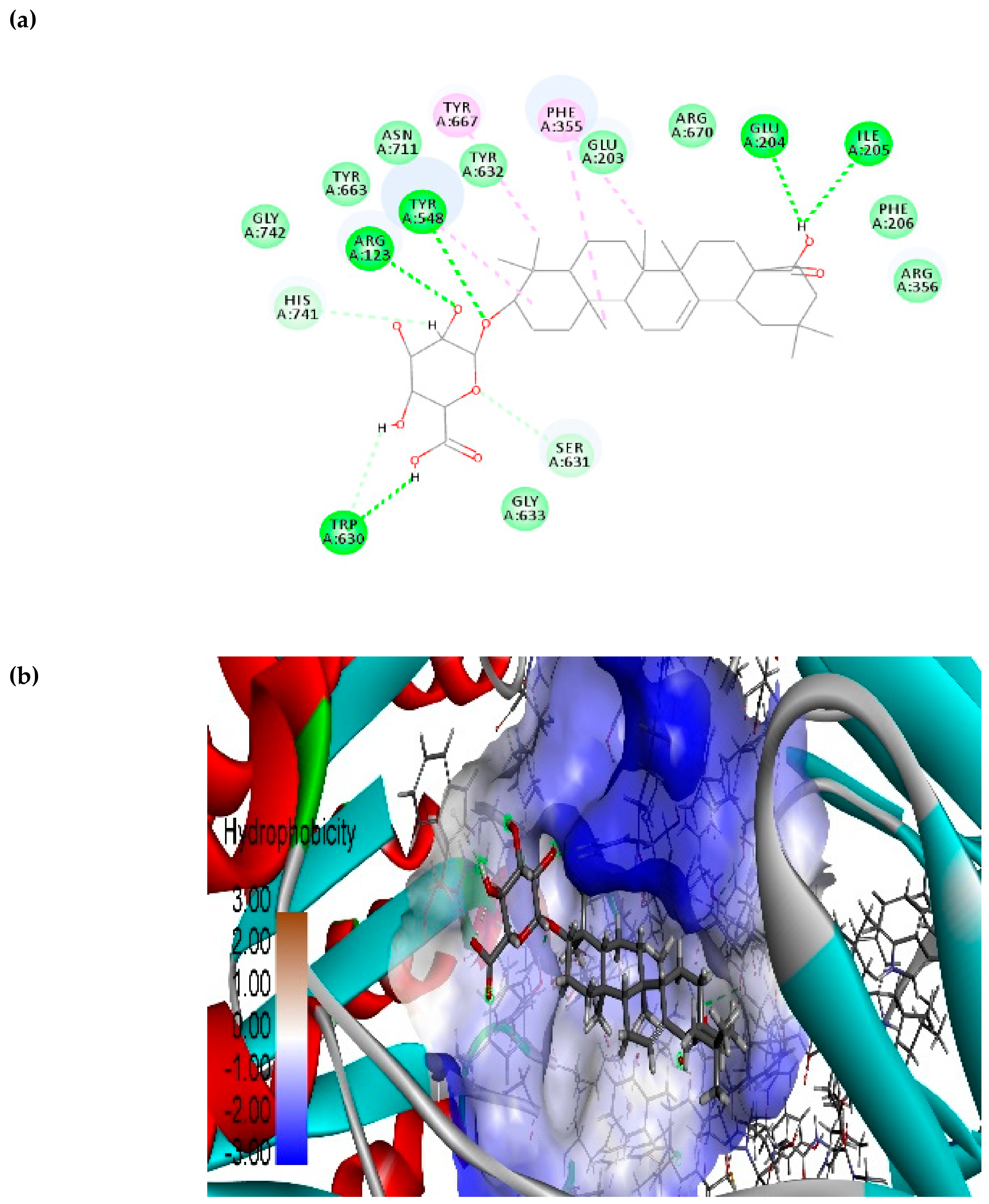 Biomolecules 10 00305 g010