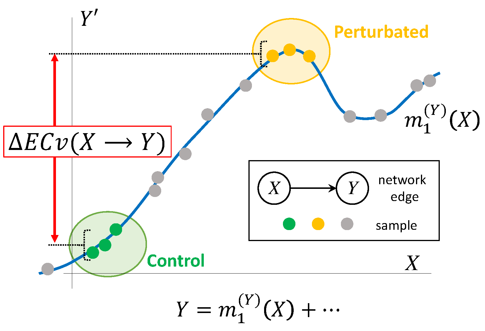 Biomolecules 10 00306 g002