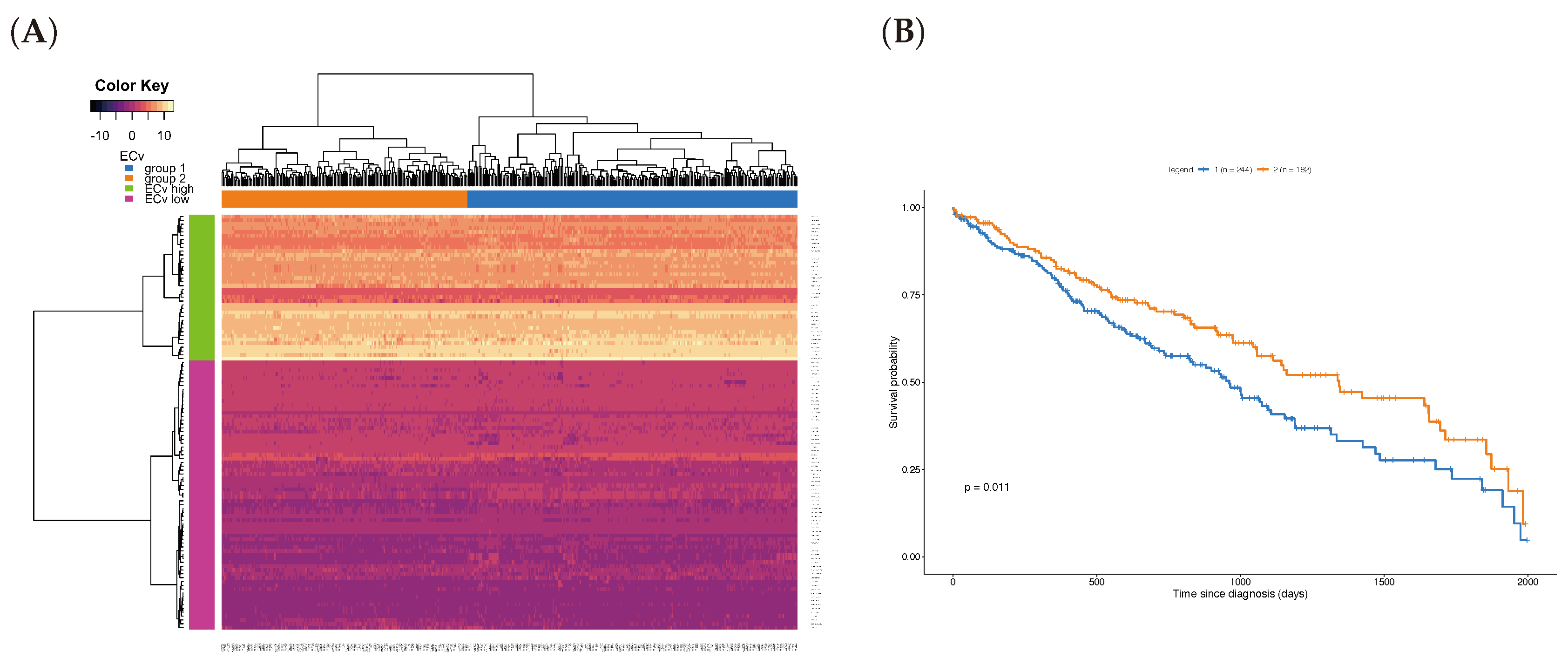 Biomolecules 10 00306 g006
