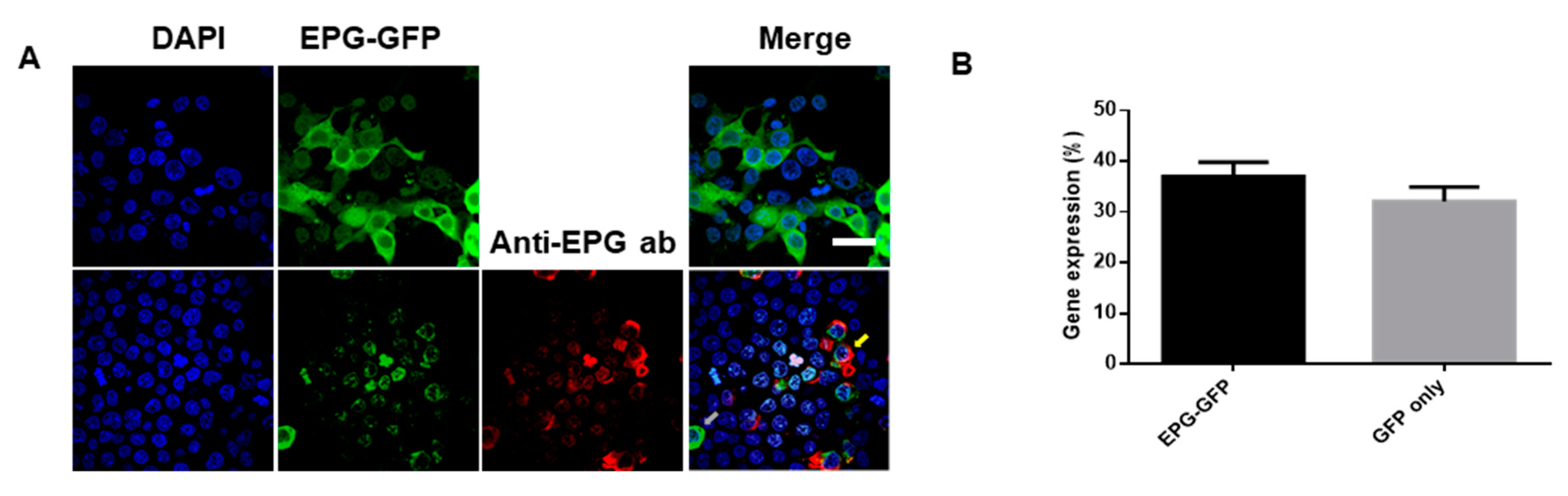 Biomolecules 10 00308 g002