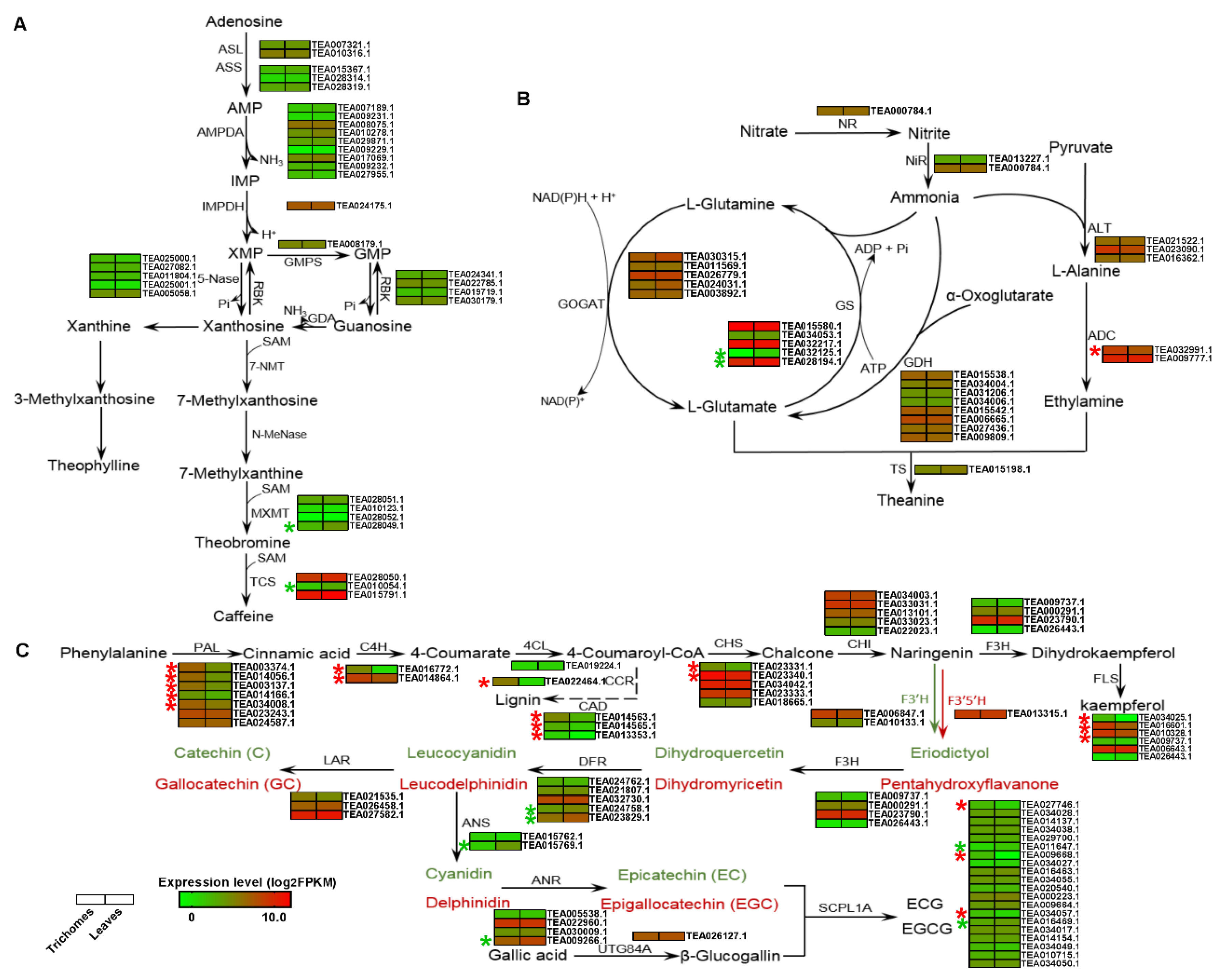 Biomolecules 10 00311 g003