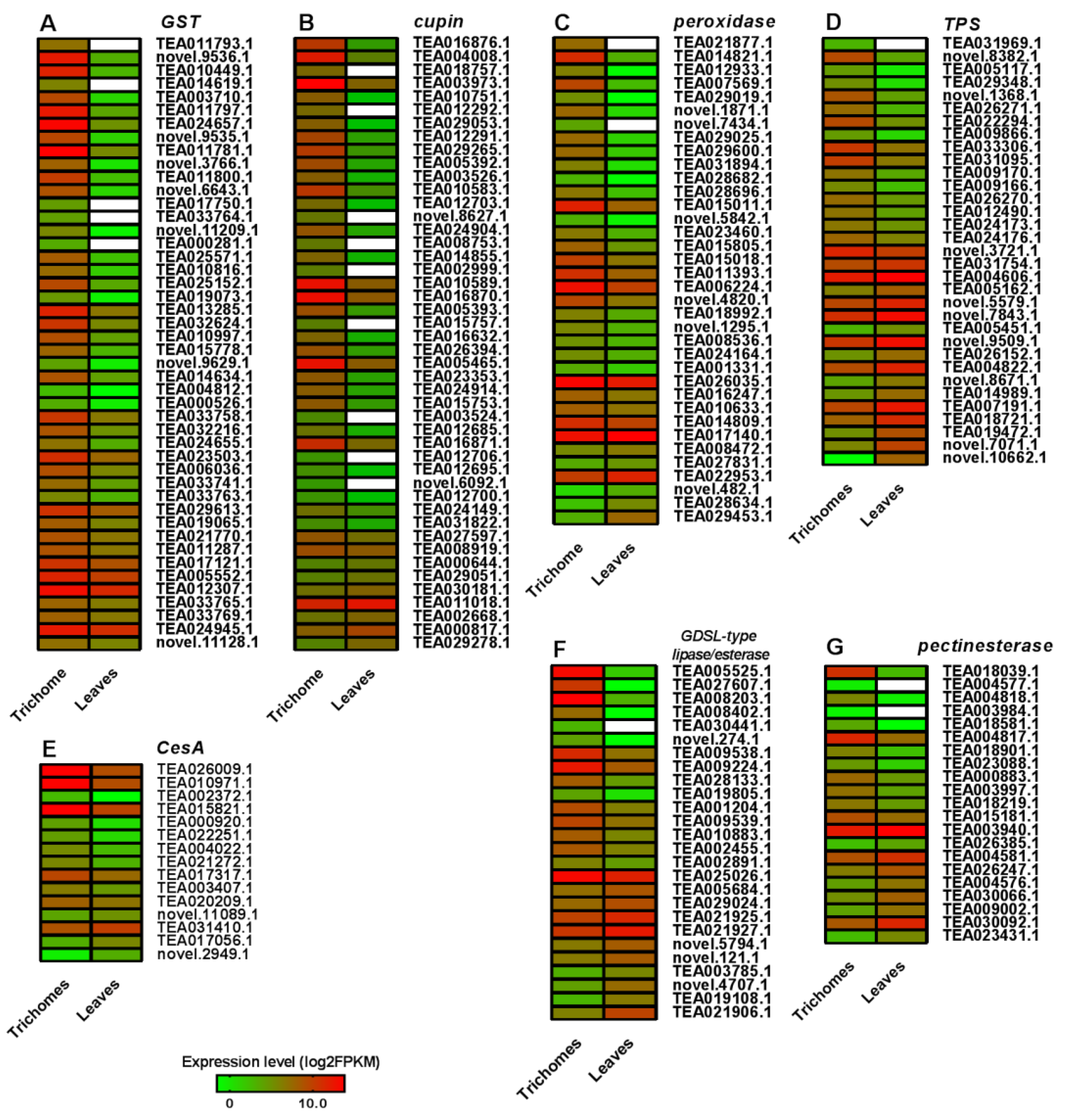 Biomolecules 10 00311 g005