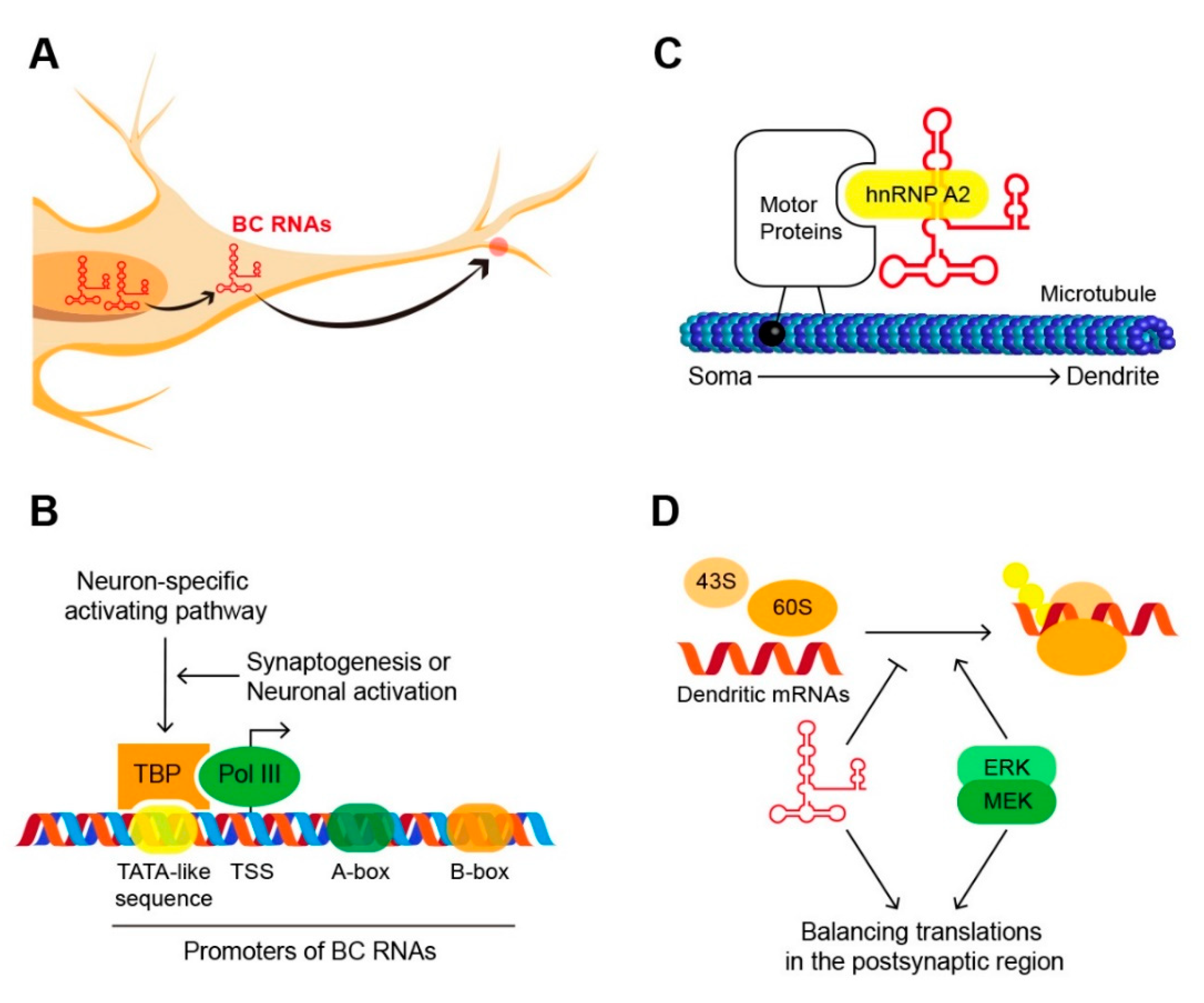 Biomolecules 10 00313 g001