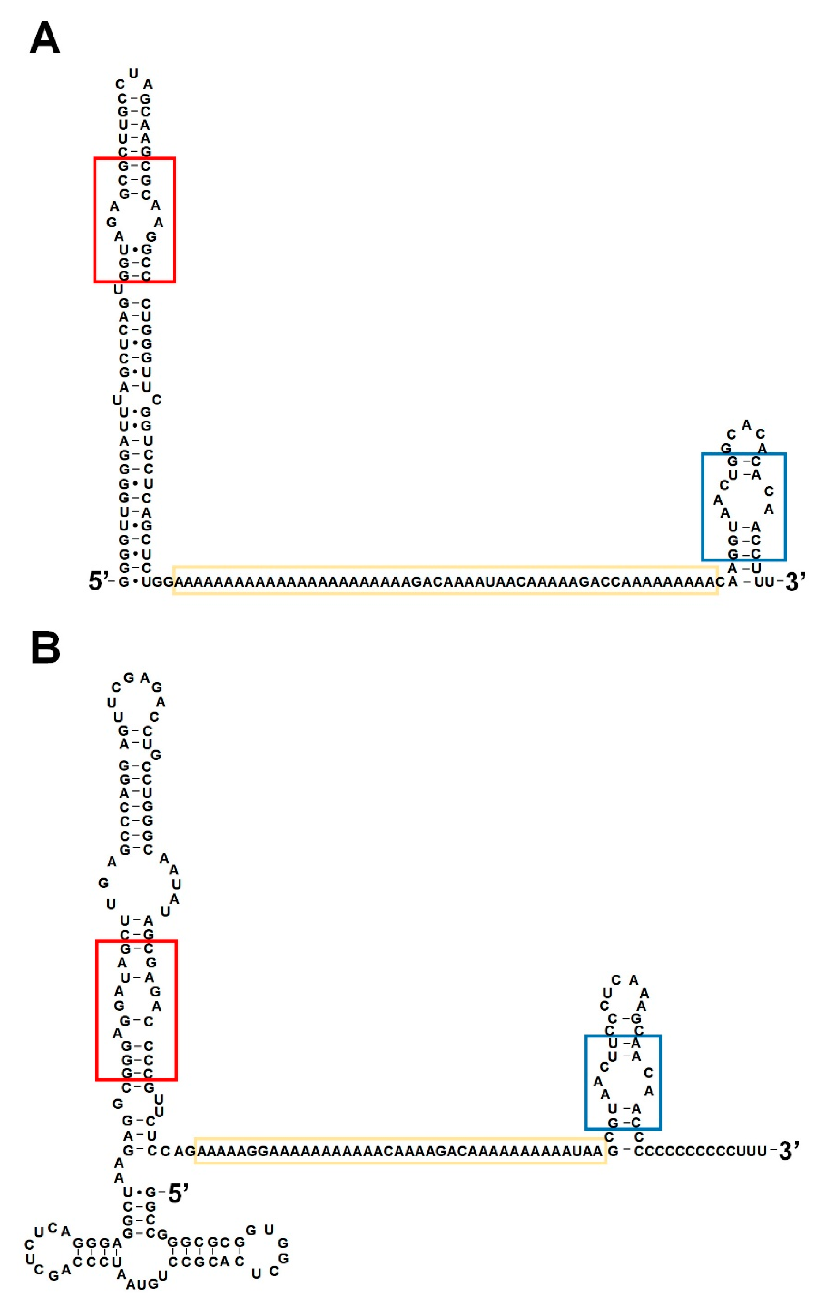 Biomolecules 10 00313 g002