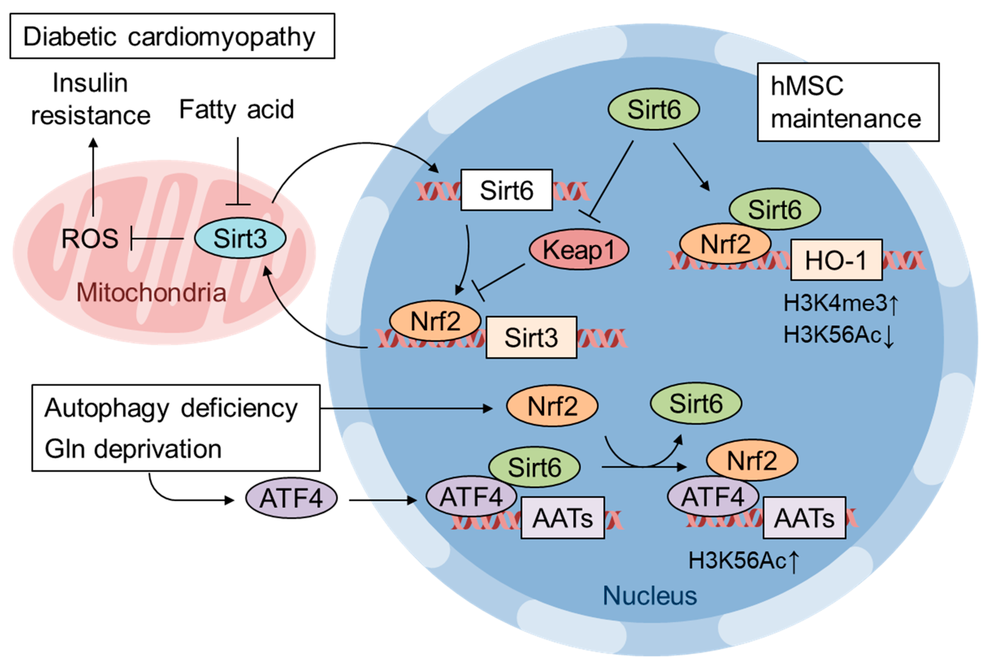 Biomolecules 10 00320 g005