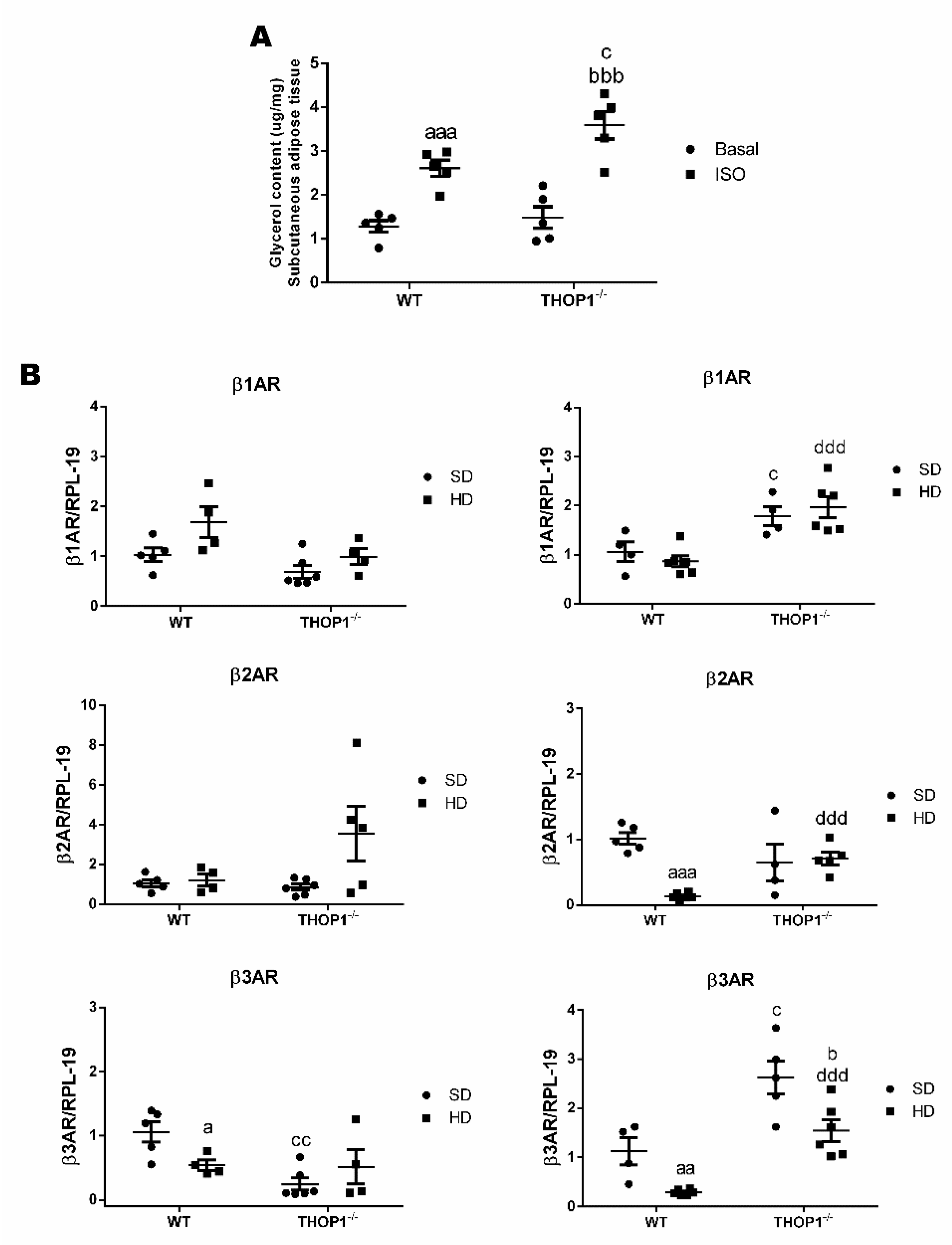 Biomolecules 10 00321 g008