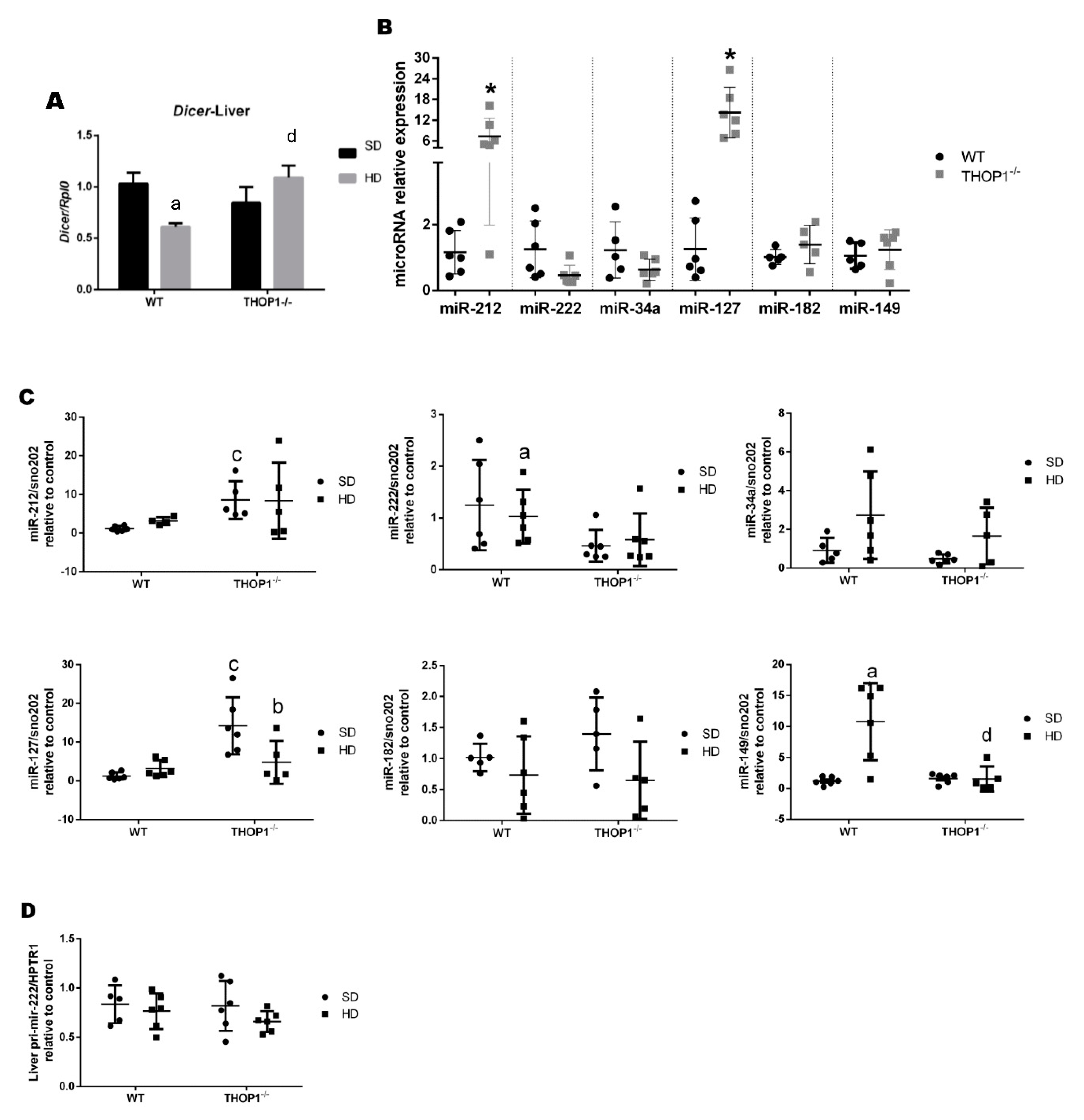 Biomolecules 10 00321 g012