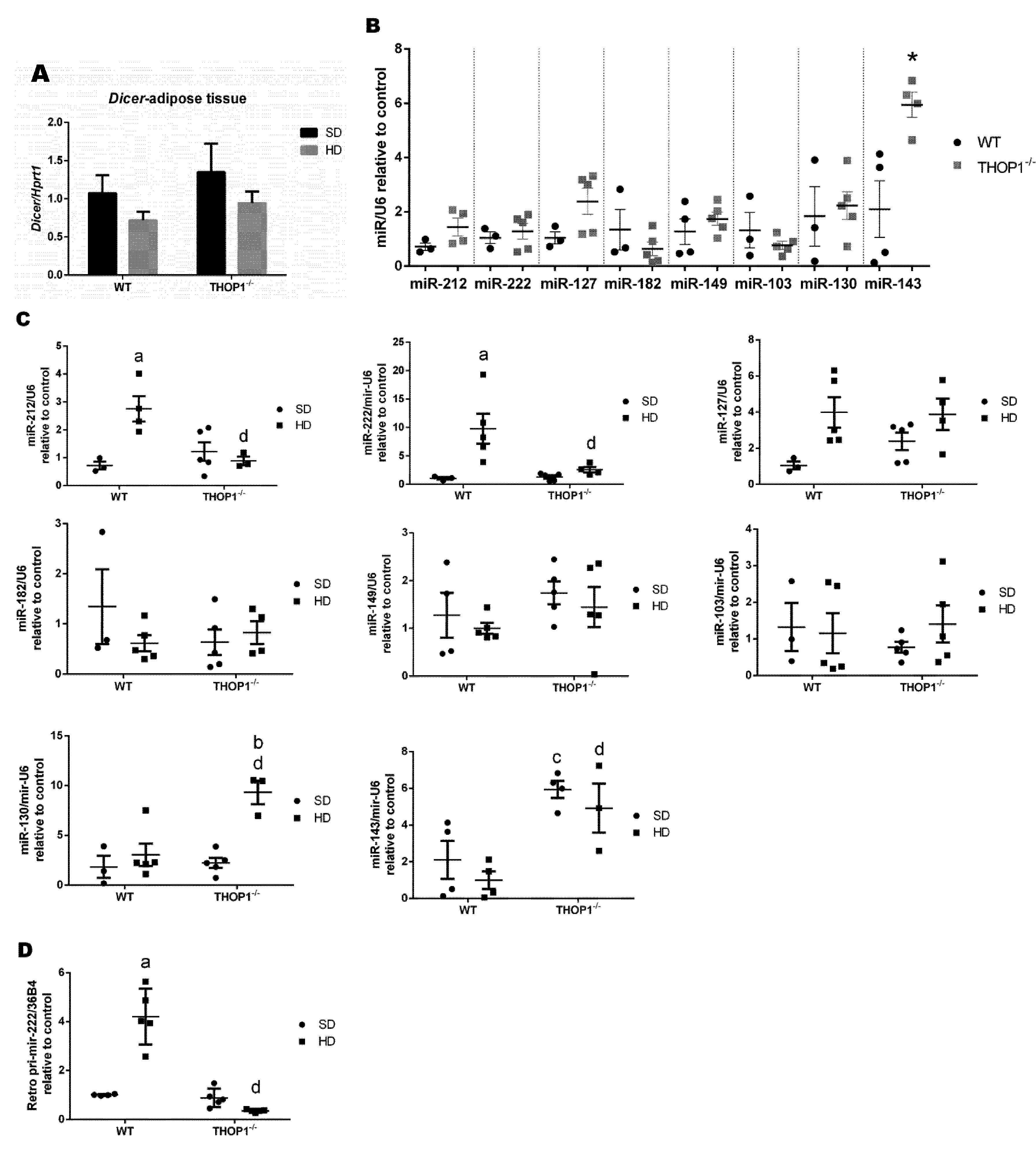Biomolecules 10 00321 g013