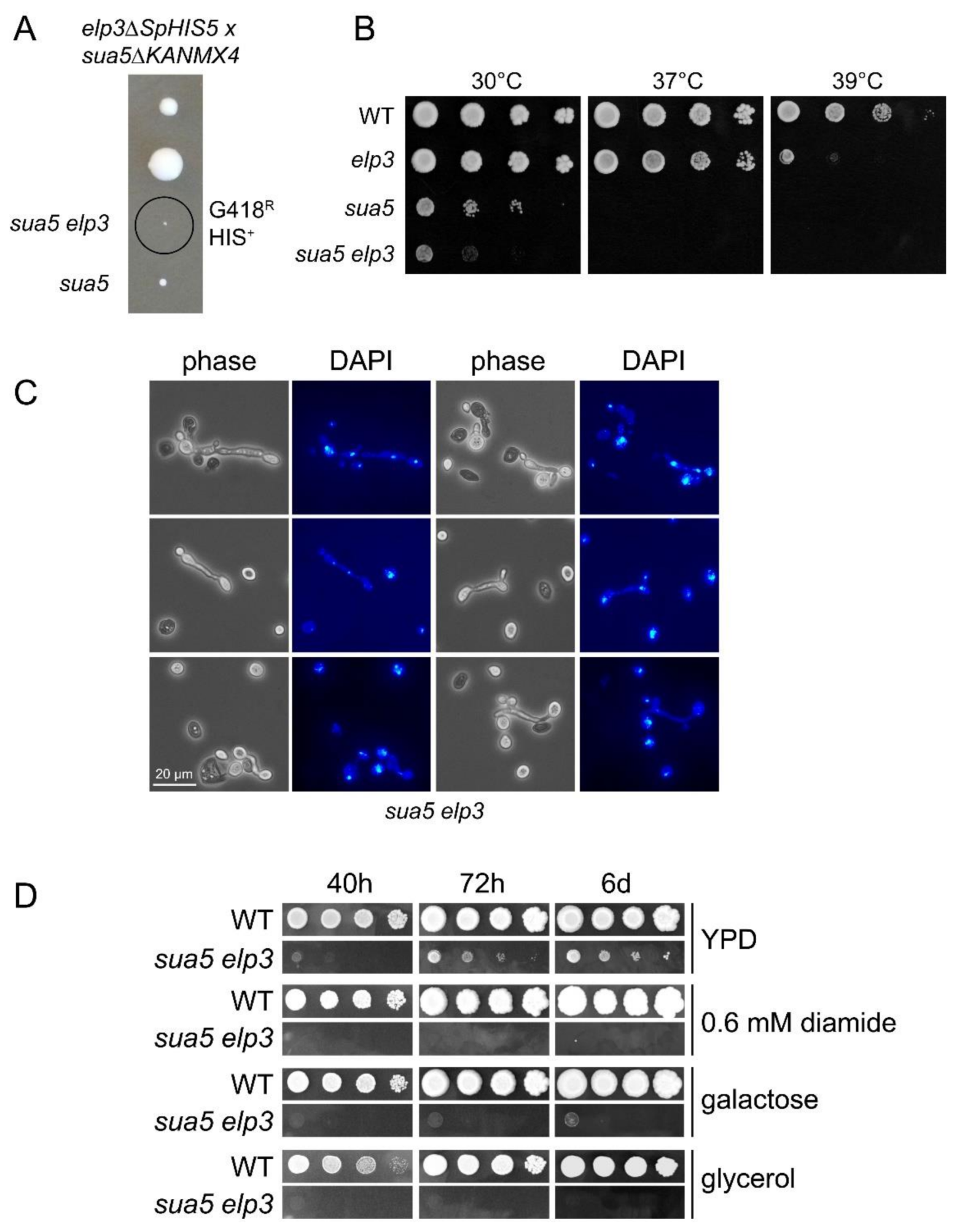 Biomolecules 10 00322 g002 Biomolecules 10 00322 g002